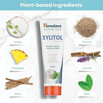 Himalaya Botanique Xylitol Fluoride-Free Toothpaste, Mint, 4 oz, 2 Pack