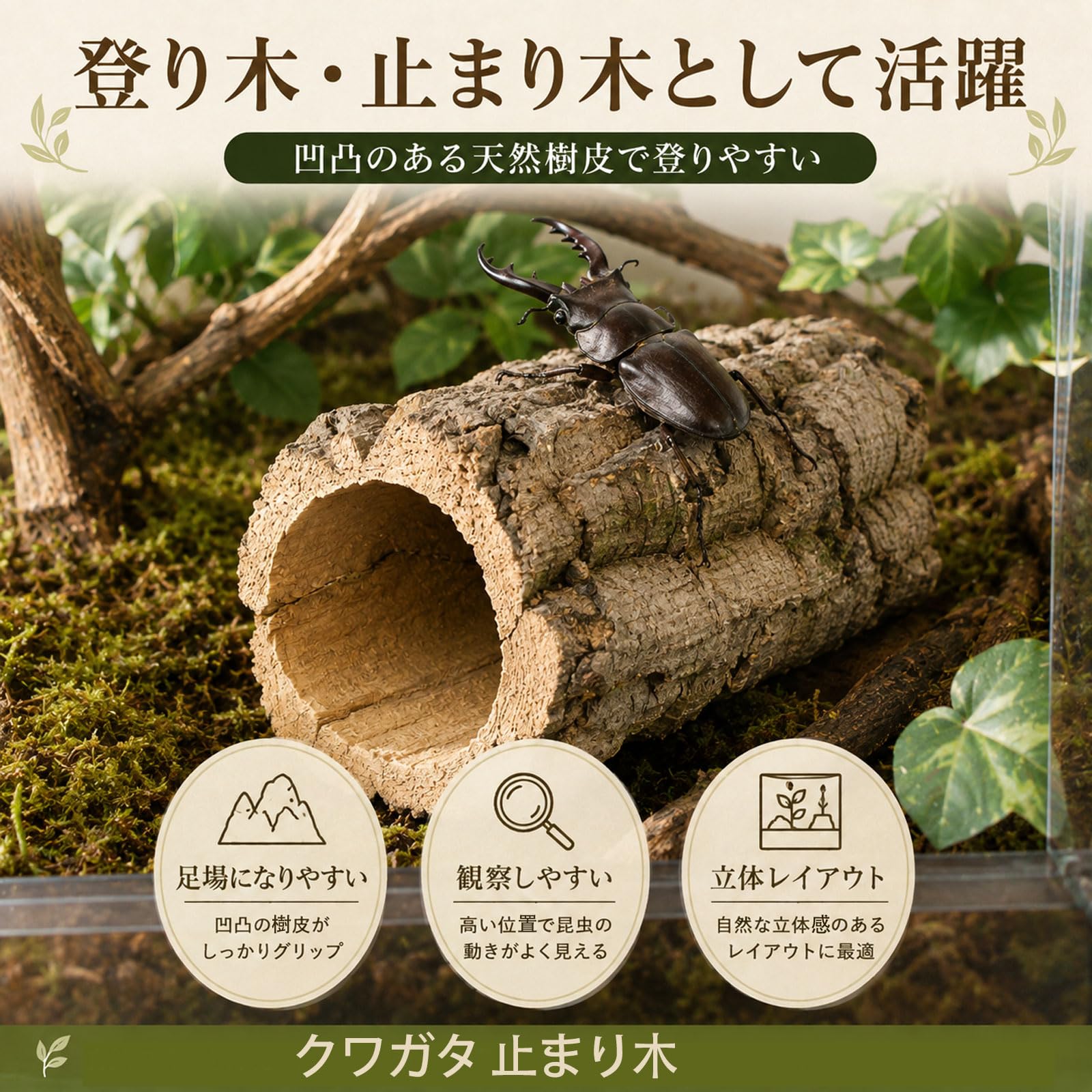 自然な木目の丸太 樹洞 丸洞 桐老木 昆虫飼育箱 Amazon.co.jp: Ahgwiu カブトムシ 木 樹皮 産卵 昆虫 止まり木