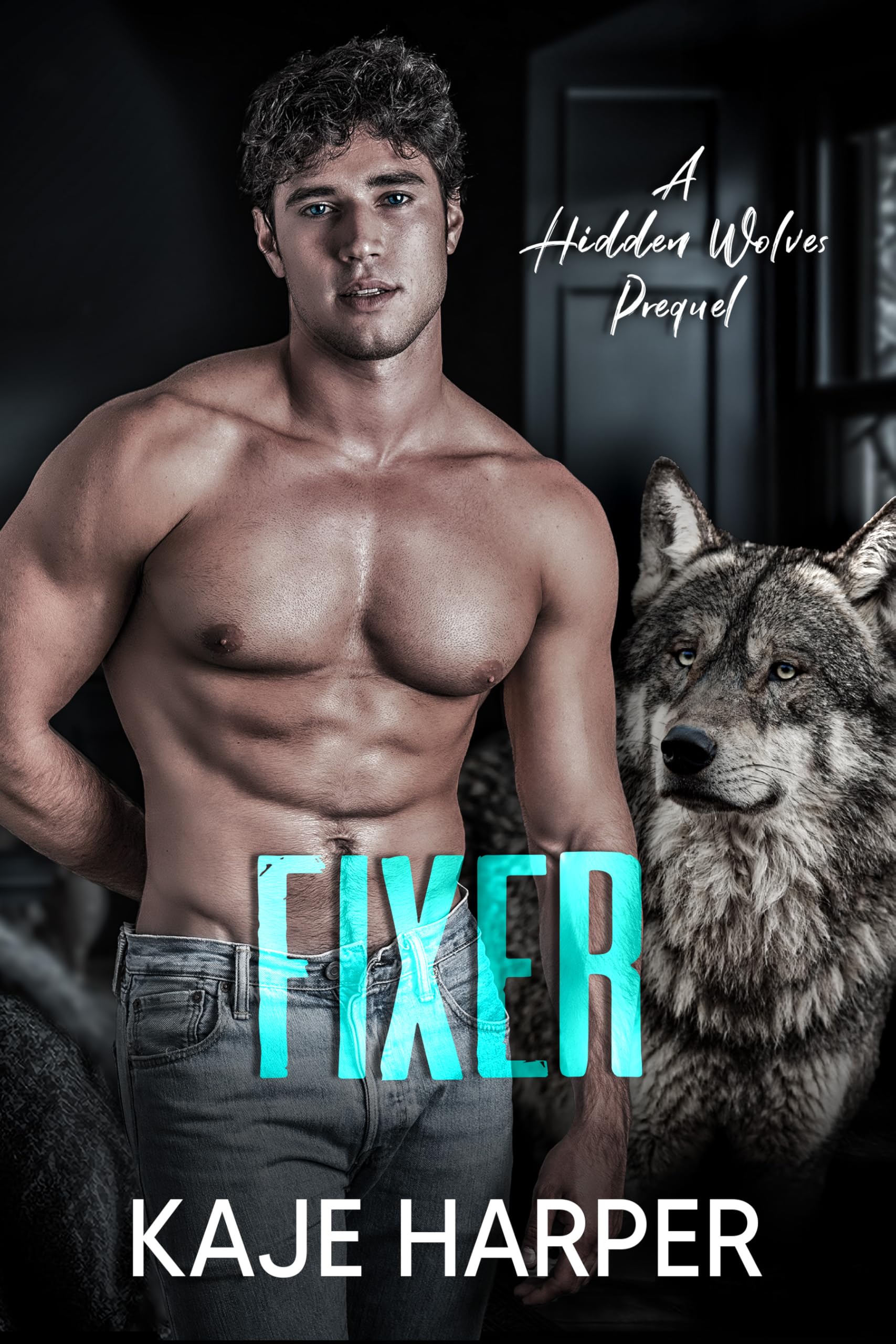 Fixer: a Hidden Wolves prequel
