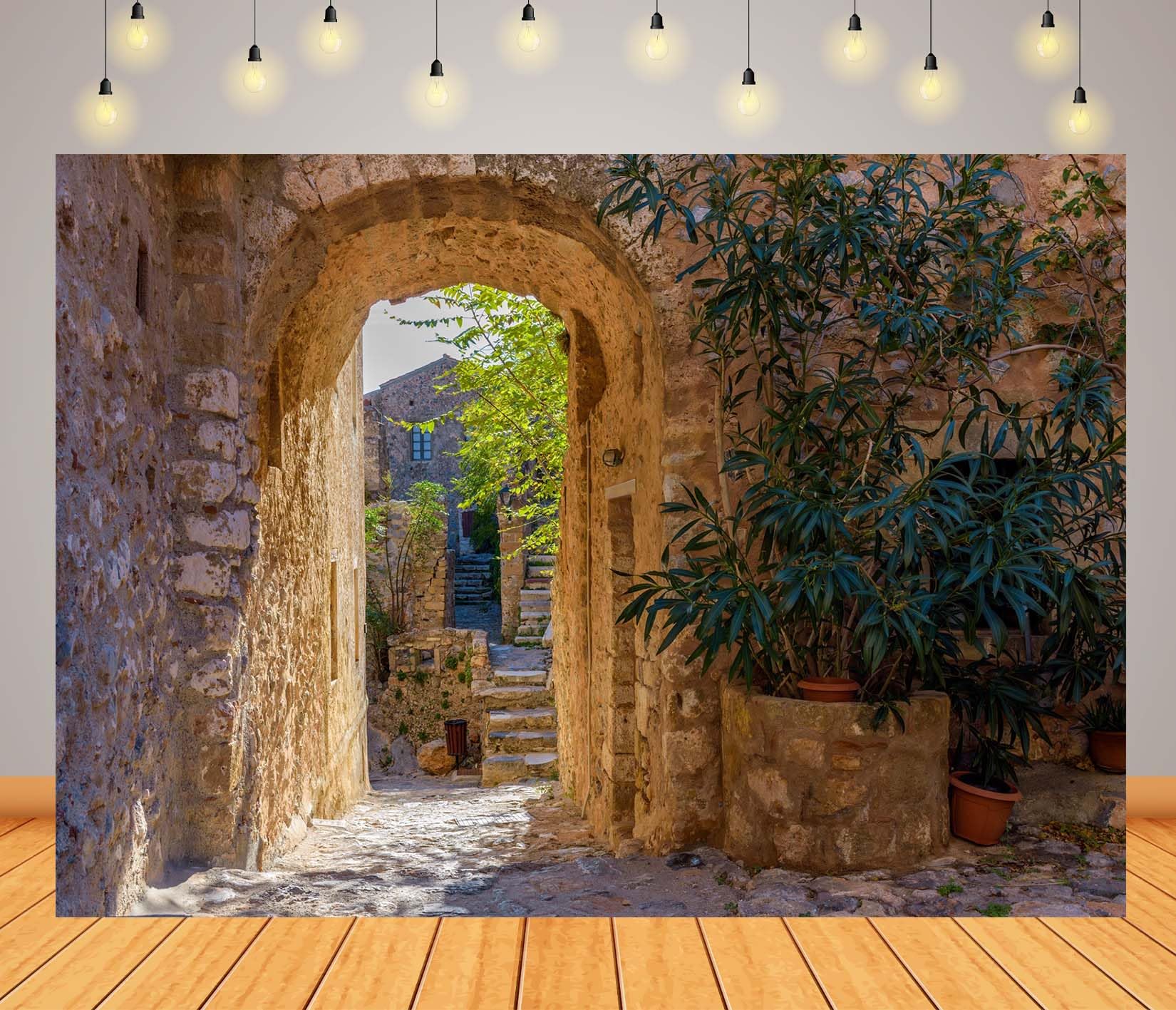 8x8FT (2.5x2.5m) Arco In Pietra Mediterraneo Sfondo Fotografico
