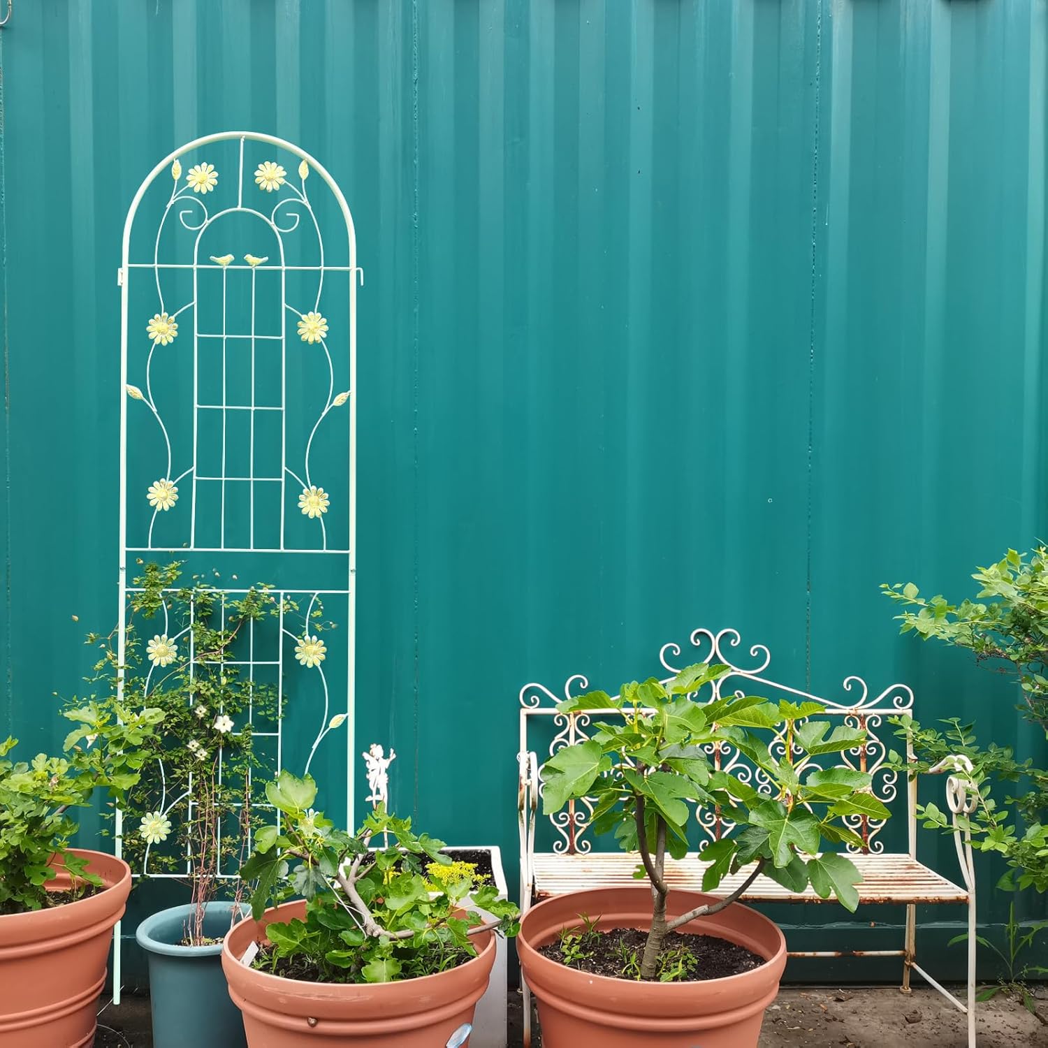 2 Pack Metal Garden Trellis 71" x 19.7" French Romantic Rustproof Climbing Plants Support Vegetable Flower Support Metal Rose Trellis Cucumbers Trellis White