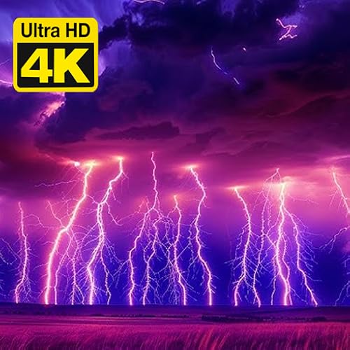 Majestic Thunder and Rain Symphony: White Noise Storm for Serene Sleep, Focused Study, and Relaxation For Tablets & Fire TV - NO ADS