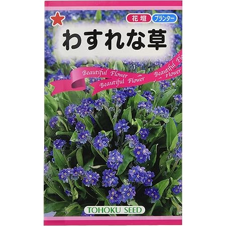 Amazon 株式会社トーホク わすれな草 008 苗棚 Amazon 株式会社トーホク わすれな草 008 苗棚