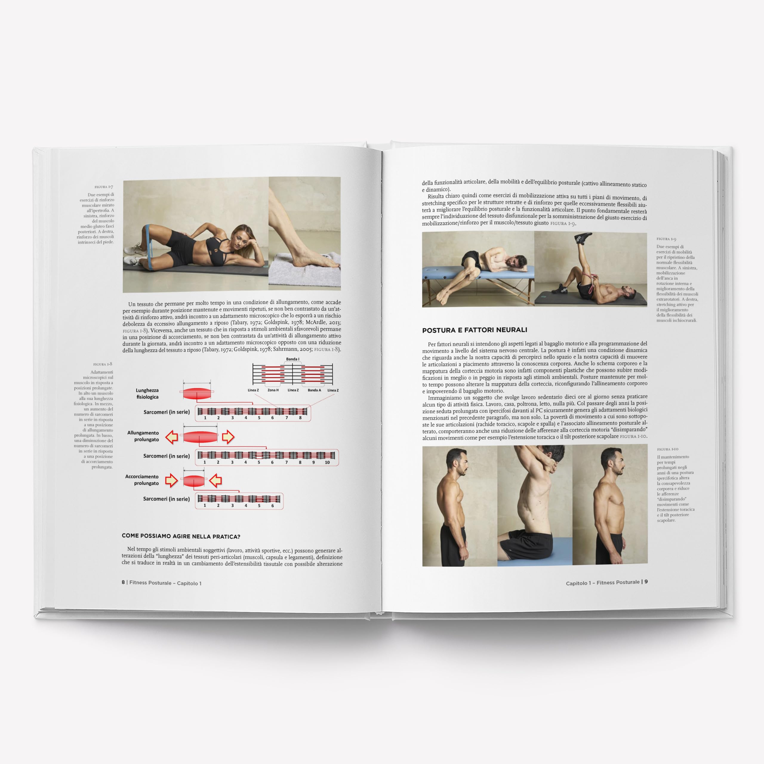 Fitness posturale. Valutazione, postura e dolore (Vol. 2)
