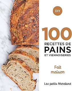 100 recettes de pains et viennoiseries