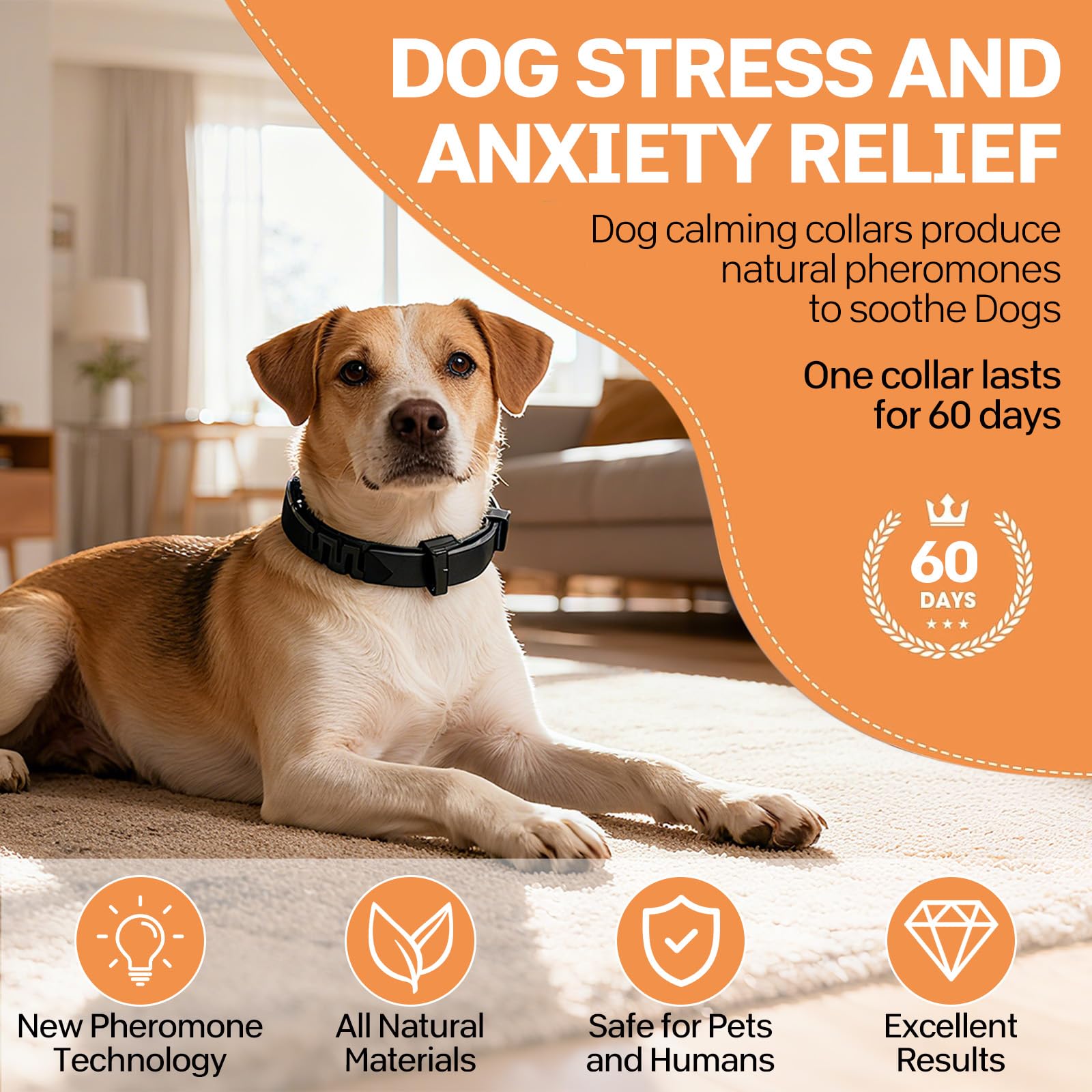 Dog Calming Collar UK - Image 2