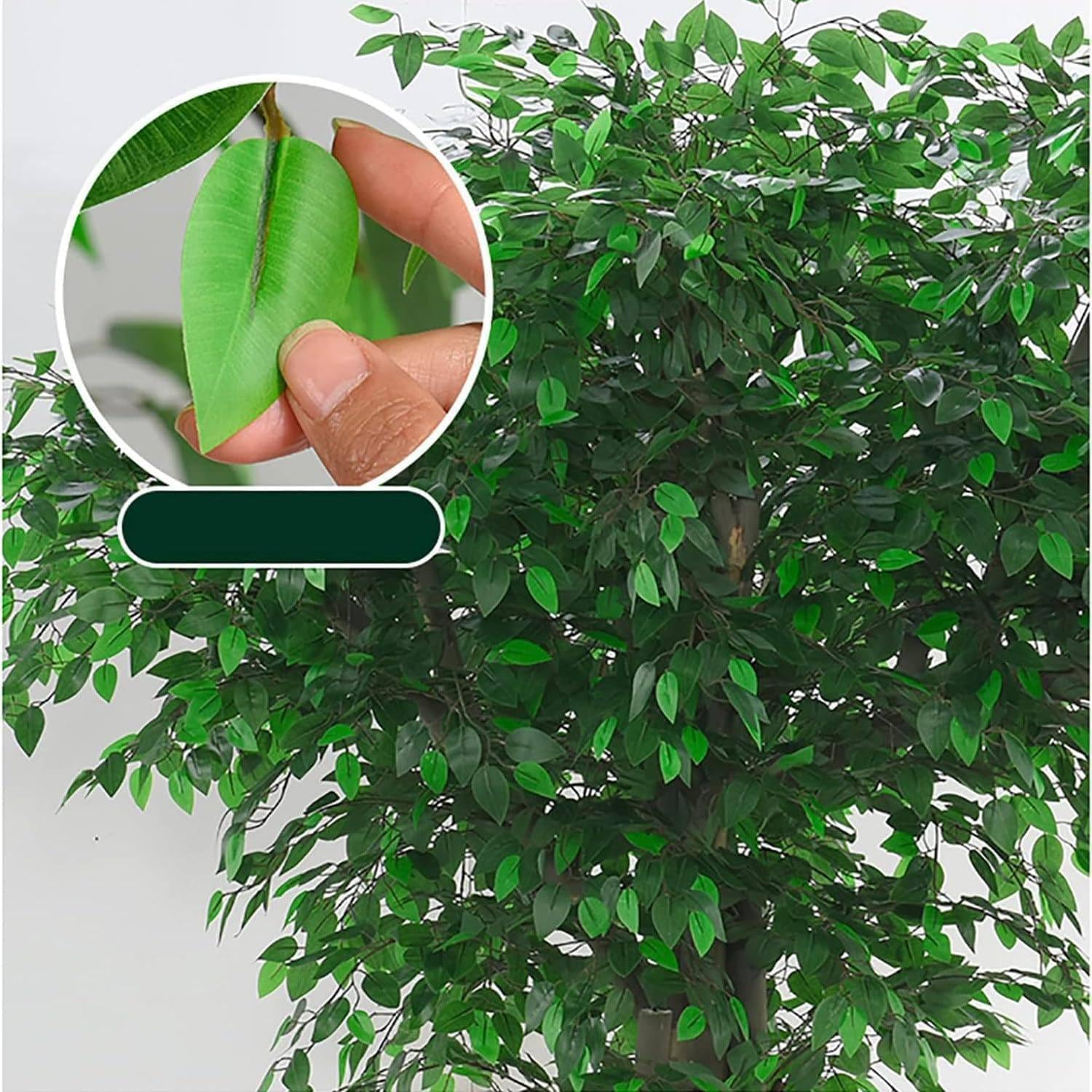 Grand Banyan, Plante Verte Simulée Au Tronc Torsadé Round-2x2m