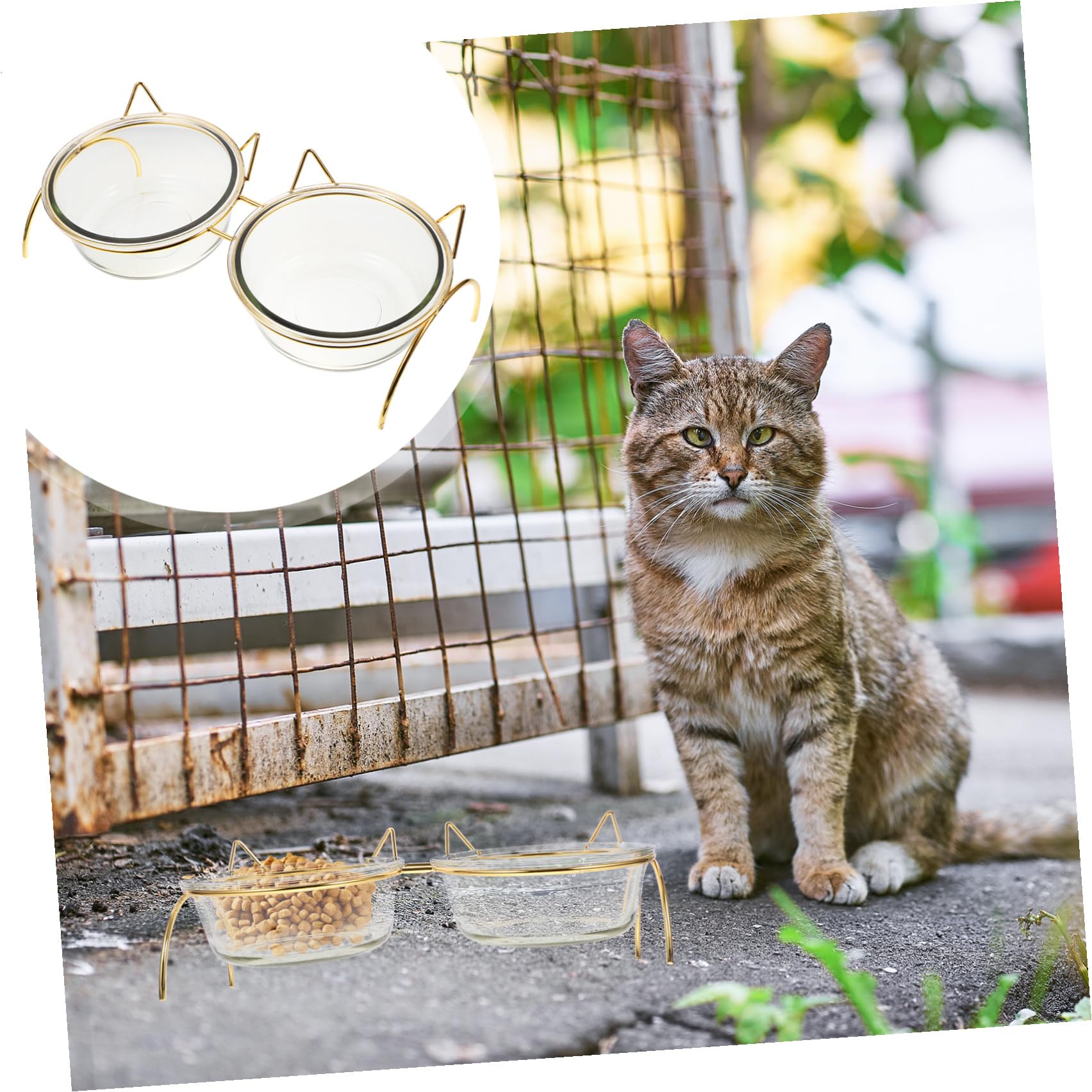 Glas Erhöhter Katzennapf Hilft bei Verdauung mit Nackenschutz Geneigter Futterschale für Katzen und Kleine Hunde