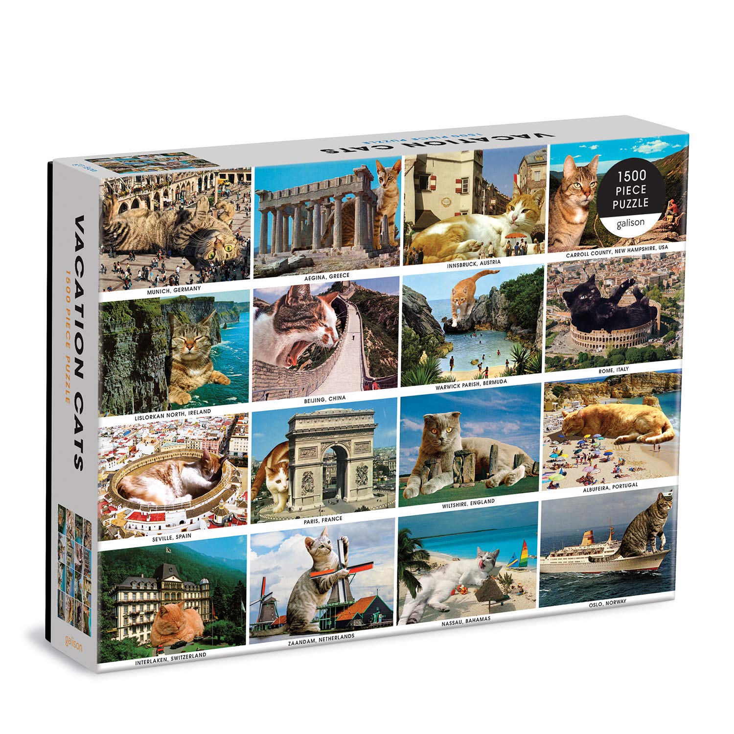 Galison 9780735369504 Vacation Cats 1500 Piece Puzzle
