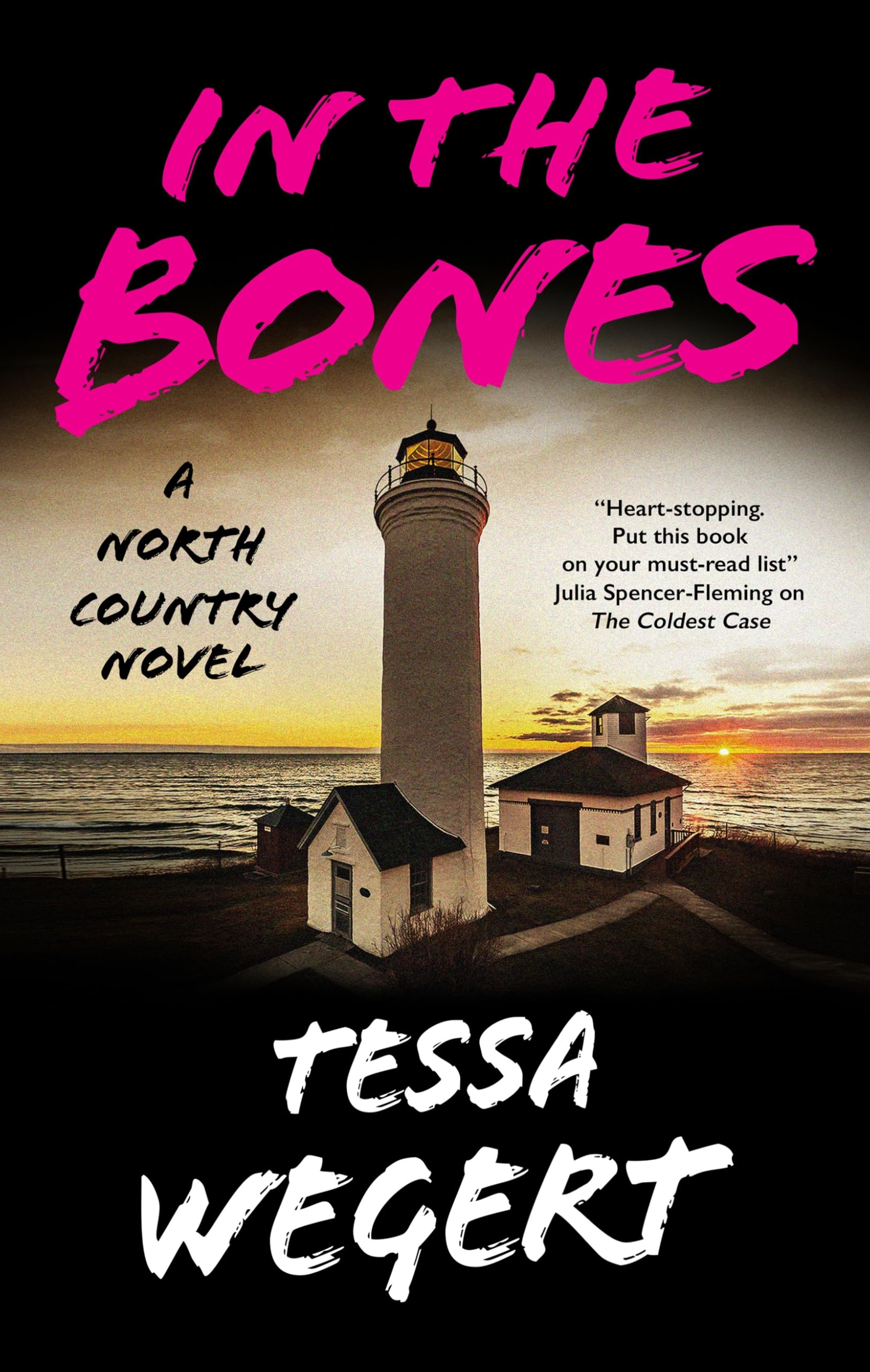 In the Bones (A North Country Novel)