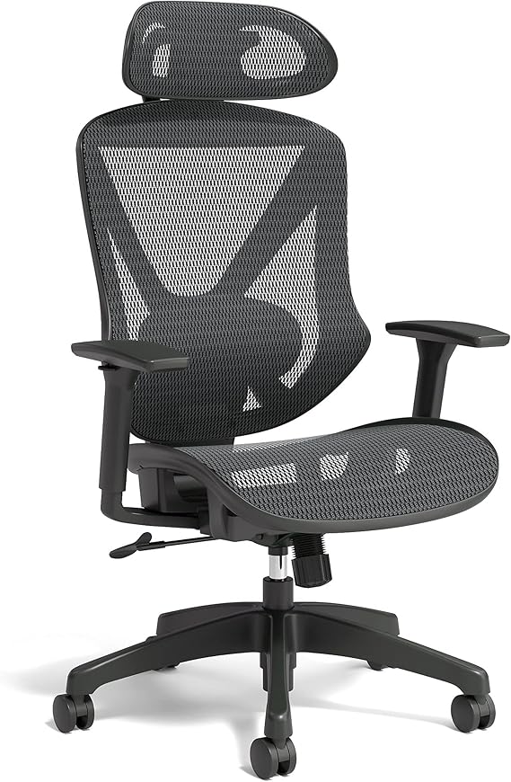 Staples Dexley Mesh Task Chair Amazon.ca Home