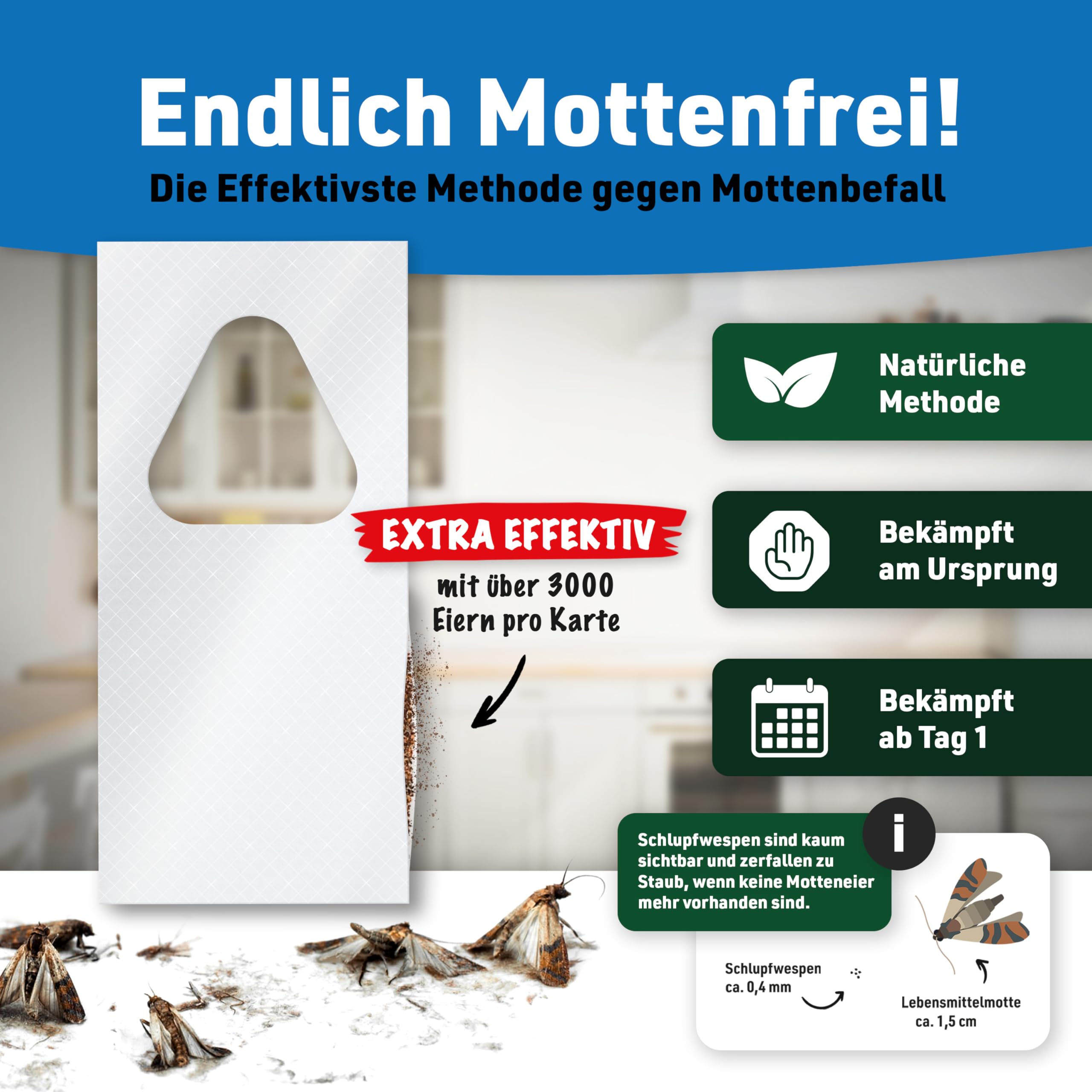 Schlupfwespen gegen Lebensmittelmotten | 12 Karten à 4 Lieferungen | Nachhaltig & Effektiv Lebensmittelmotten bekämpfen | Alternative zu Mottenspray, Mottenkugeln und Lebensmittelmotten Falle
