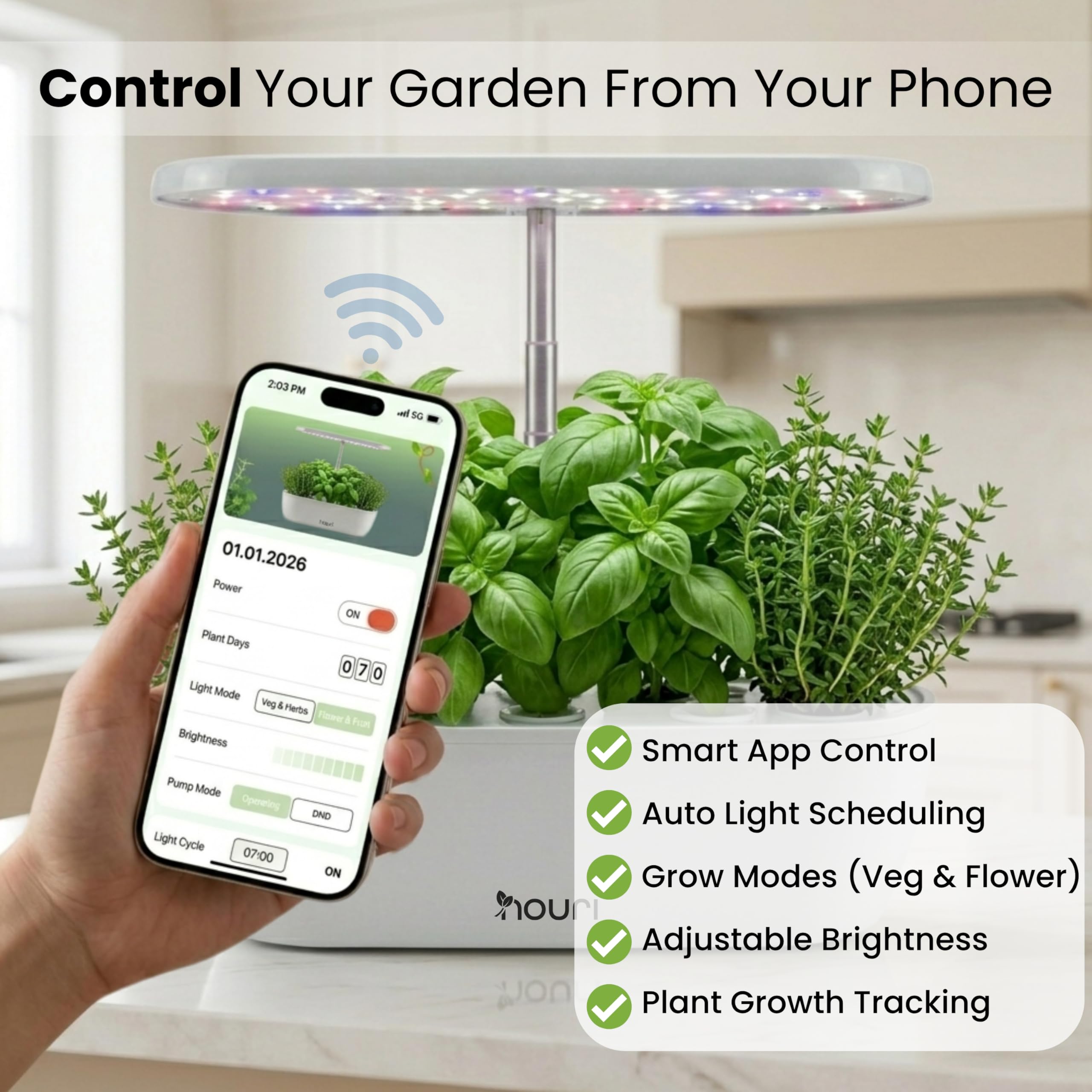 Nouri Hydroponisches Anzuchtsystem, 12 Hülsen Smart Indoor Kräutergarten Set mit App & LED-Wachstumslicht, Hydroponischer Kräutergarten für Zuhause & Küche, Salat Little Gem Samen inklusive