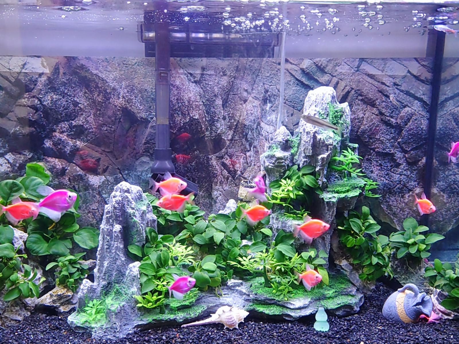COYOUCO Decorazioni per acquari di Pesce Costruzione del Castello Ornamenti per acquari in Resina Accessori per acquari per Pesci