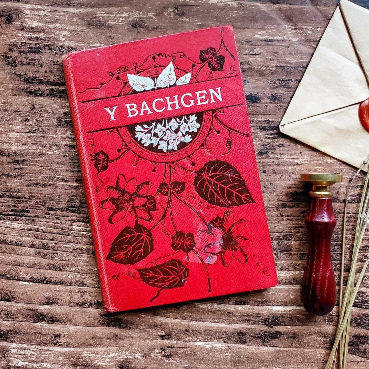 1800年後期 ドイツ 美しい表紙 貴重 アンティーク 洋書 1800年代後半