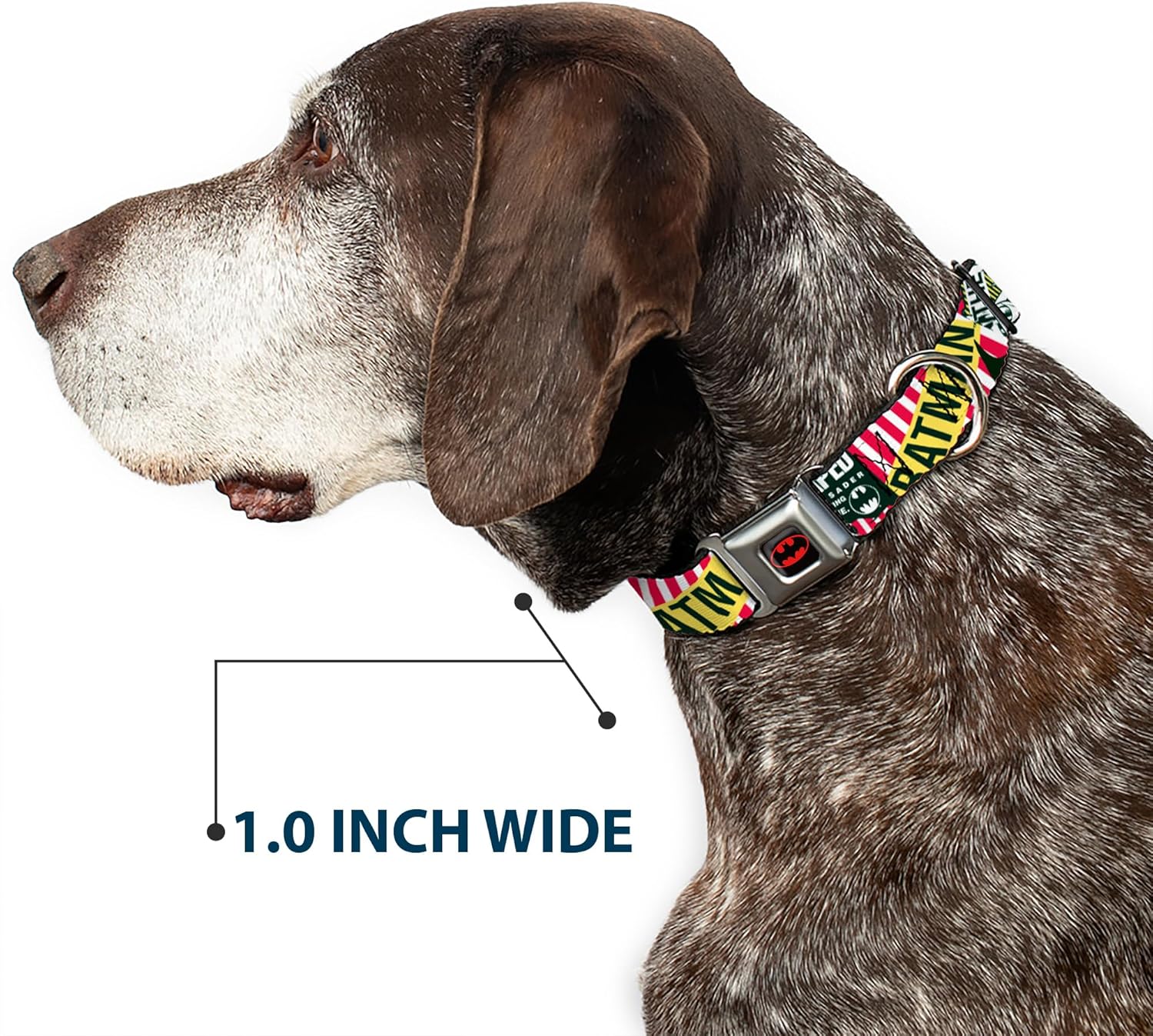 Buckle-Down Seatbelt Buckle Dog Collar - Batman Caped Crusader - 1" Wide - Fits 9-15" Neck - Small