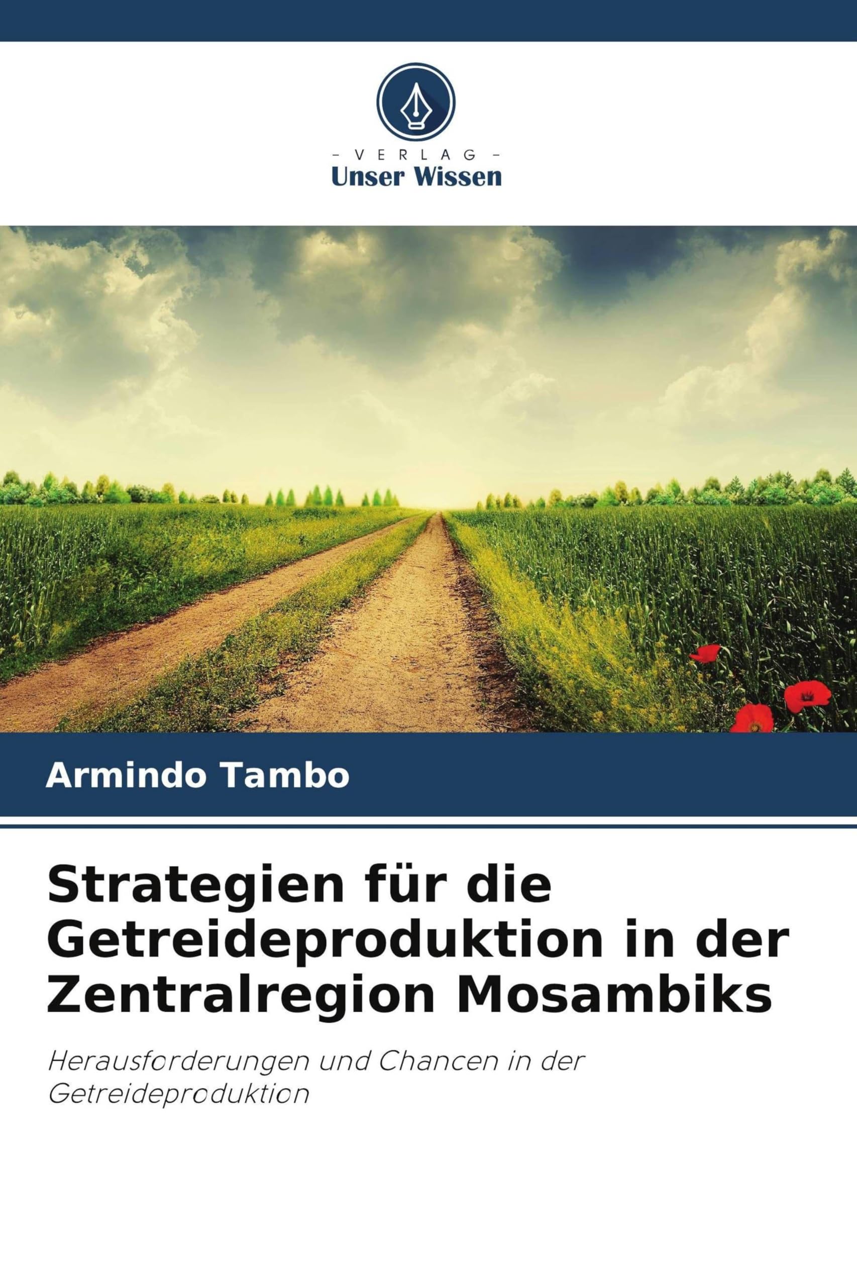 Strategien für die Getreideproduktion in der Zentralregion Mosambiks: Herausforderungen und Chancen in der Getreideproduktion