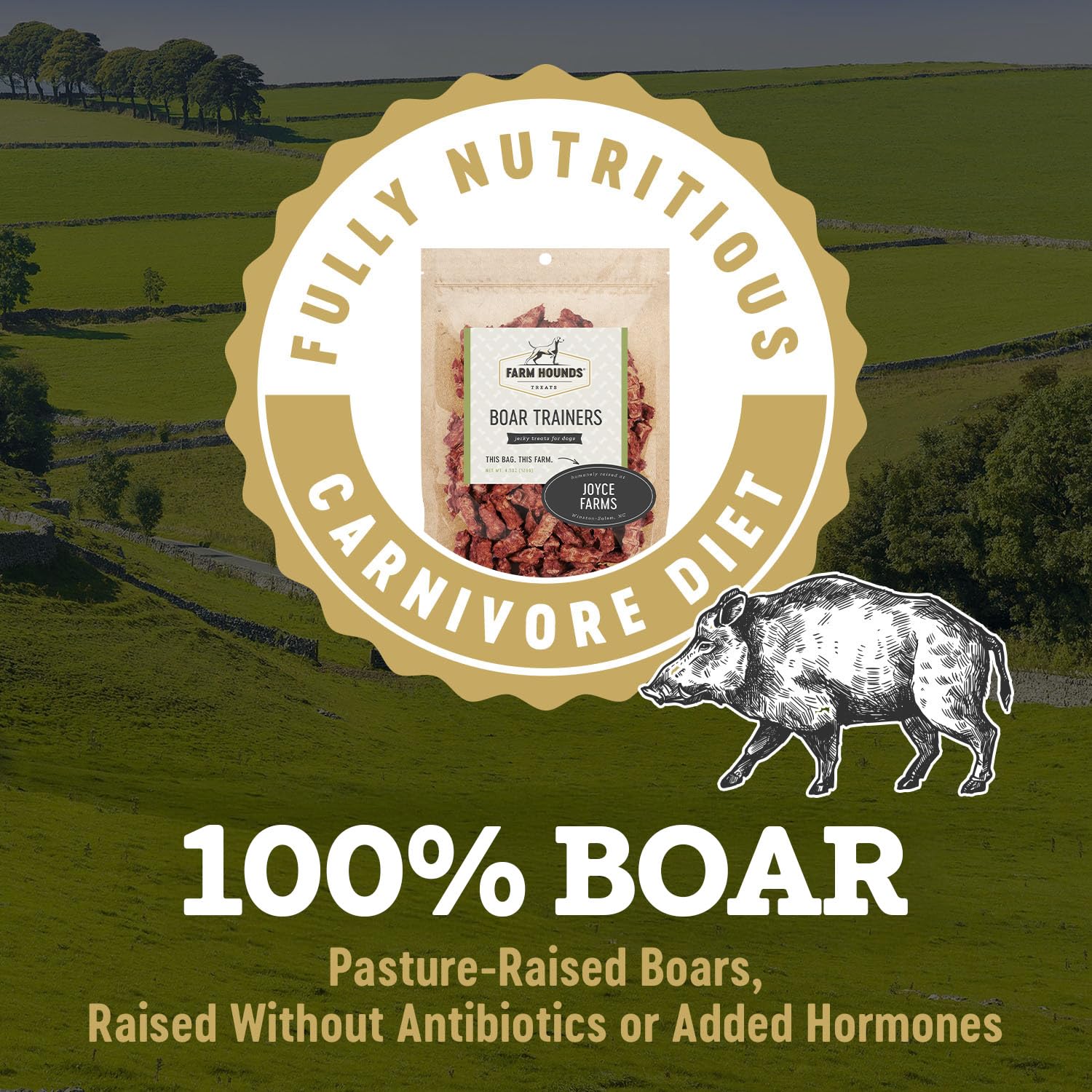 Farm Hounds - Boar Trainers - Premium Natural Jerky for Dogs - from 100% Humanely Raised Boar - Easy-Break - Great for Training & Treats - No Added Fillers - Made in USA - 4.5 oz - 1 Pack - image 3