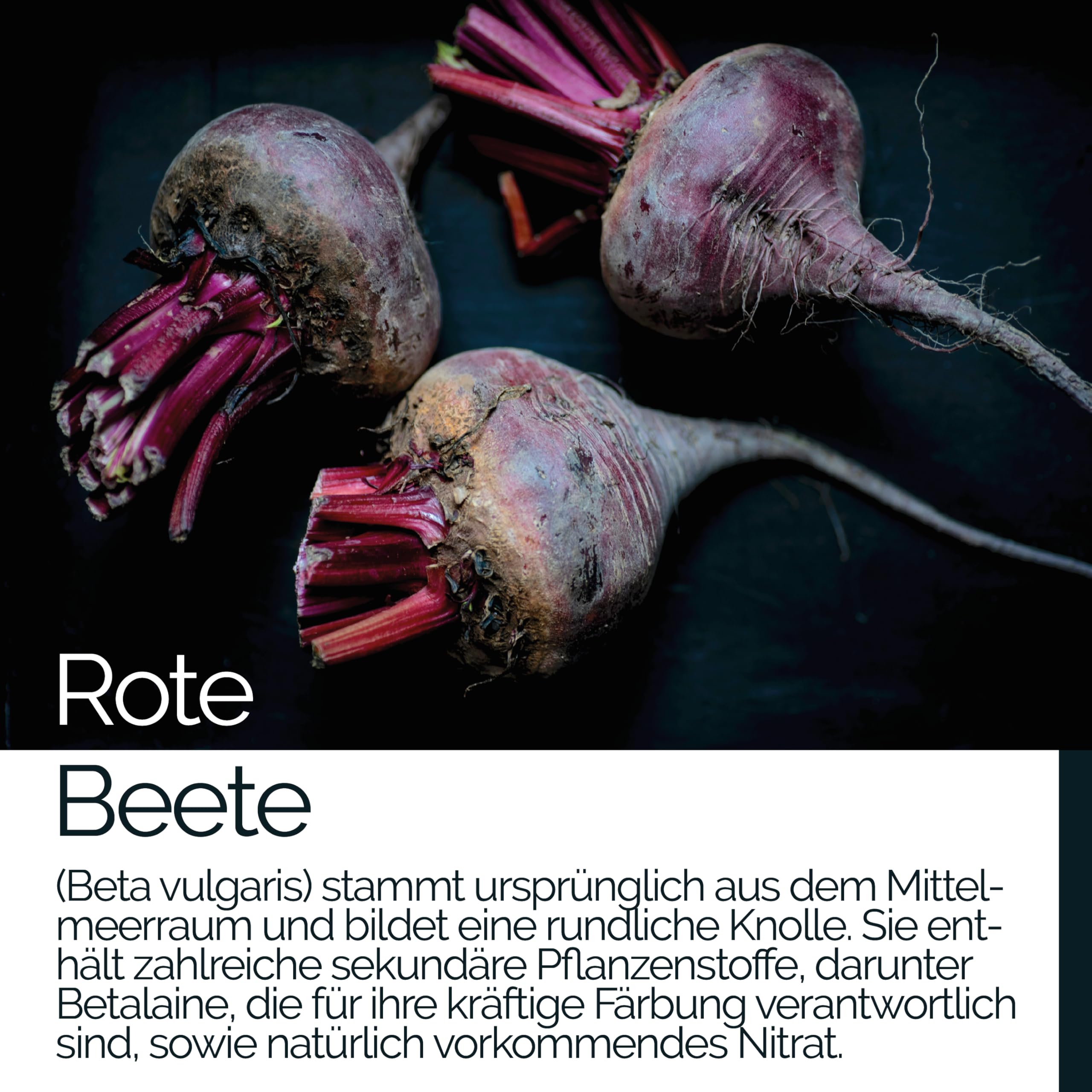 TAVI® Rote Beete Extrakt • hochkonzentriert • Kapseln ohne Zusatzstoffe | Reines Extrakt • vegan • Hergestellt und laborgeprüft in Deutschland