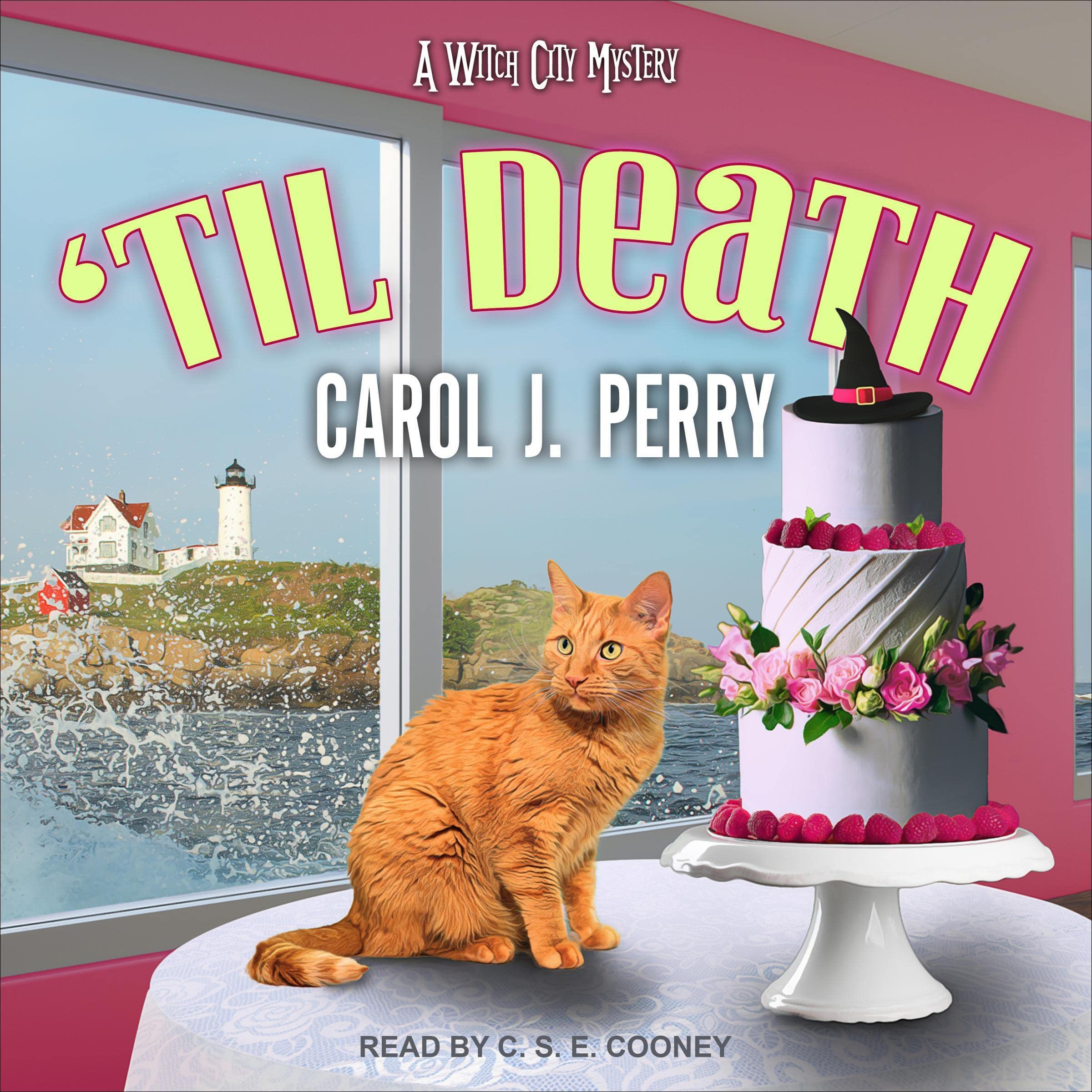 Cover art for 'Til Death