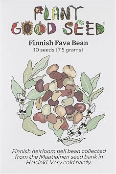 Plant Good Seed Organic Finnish Fava Bean Seeds for Planting Heirloom Broad Bean, Brown Medium Sized Beans - 10 Seed Packet