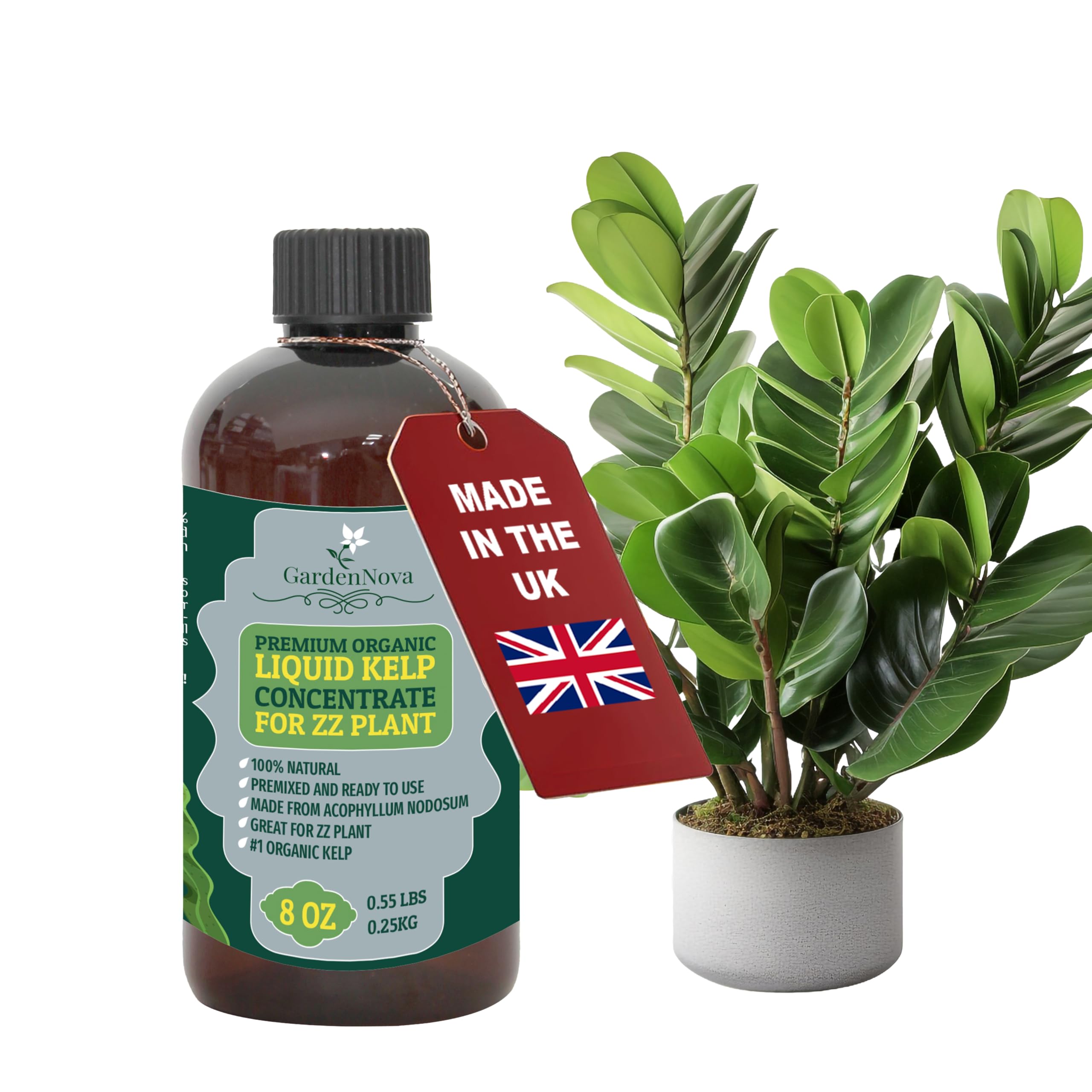 GARDENNOVA Premium Organic Seaweed & Kelp Superfood for ZZ Plant Plants - 8 oz - Liquid Kelp Fertilizer Concentrate (Makes 25 Litres)