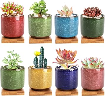 Lawei 8 Pack 2.5 Inch Mini Succulent Plant Pot with Drainage and Bamboo Tray, Small Ceramic Cactus Plant Pot, Flower Pots Faux Plants Containers for Home Garden Office DecorationPlants NOT Included