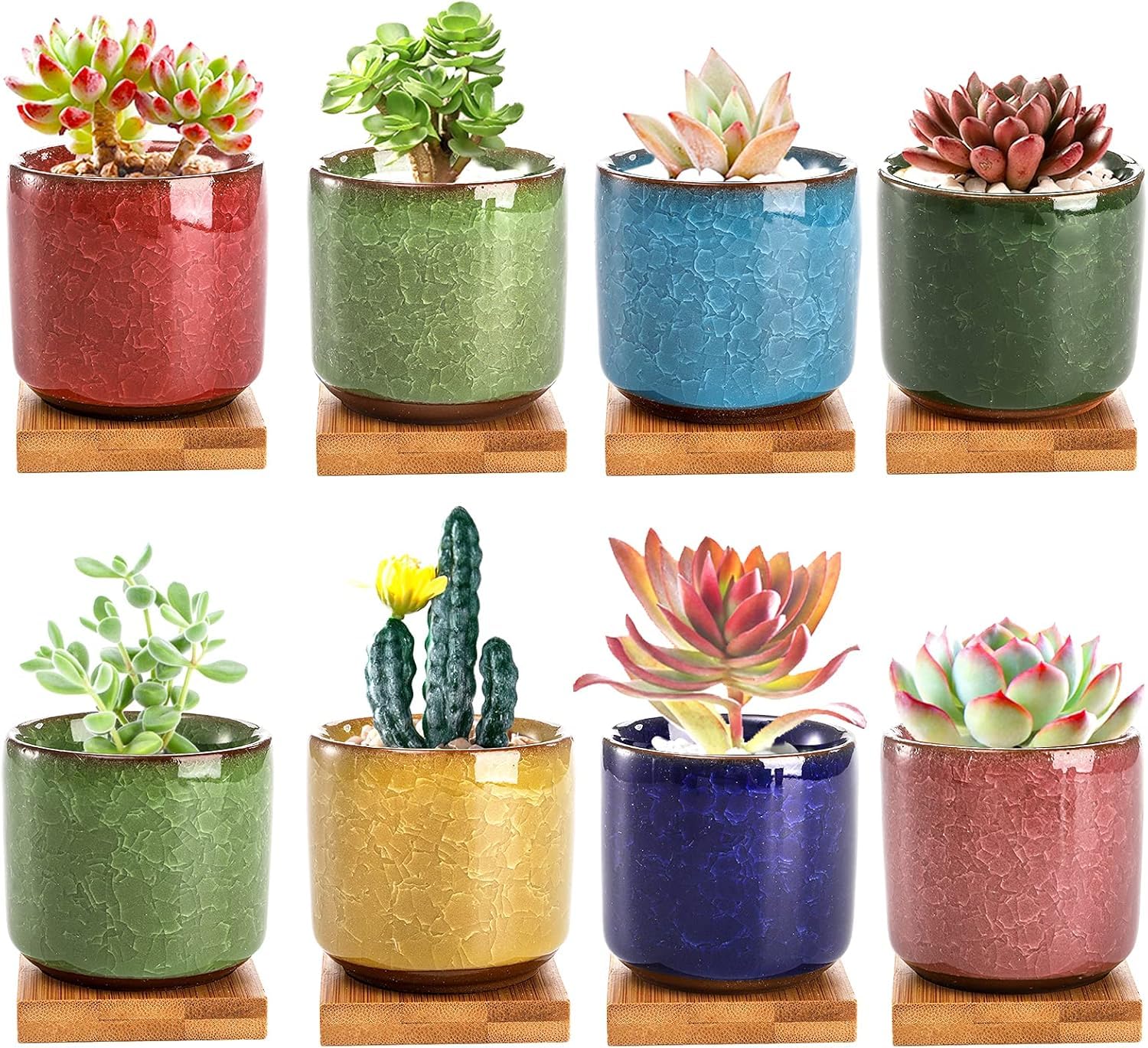 Lawei 8 Pack Mini Succulent Ceramic Pots