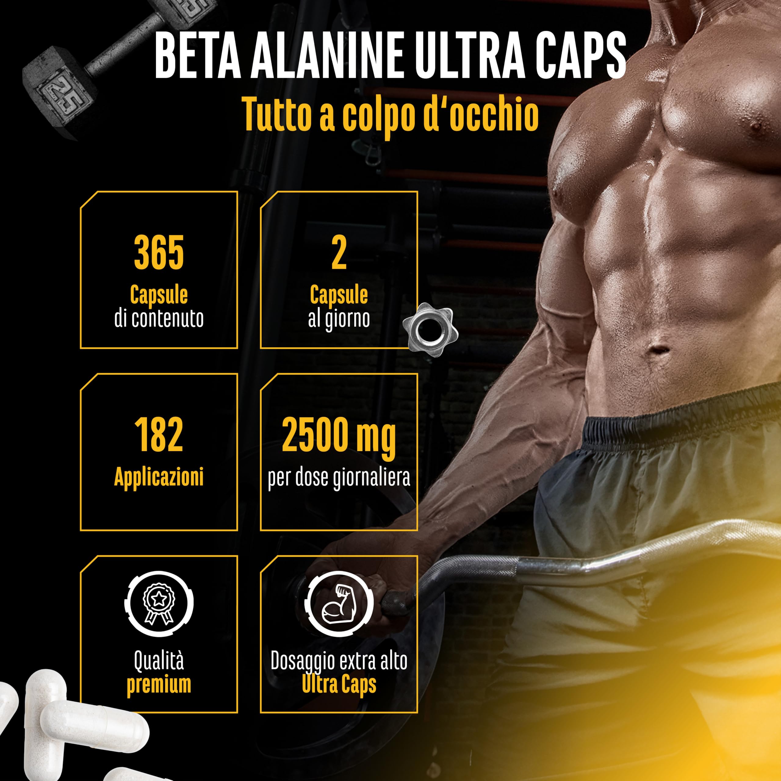 Beta Alanina Ultra Caps - 365 capsule - Dosaggio elevato con 1250 mg per capsula - Beta Alanina aminoacido con purezza del 99% - Senza additivi indesiderati