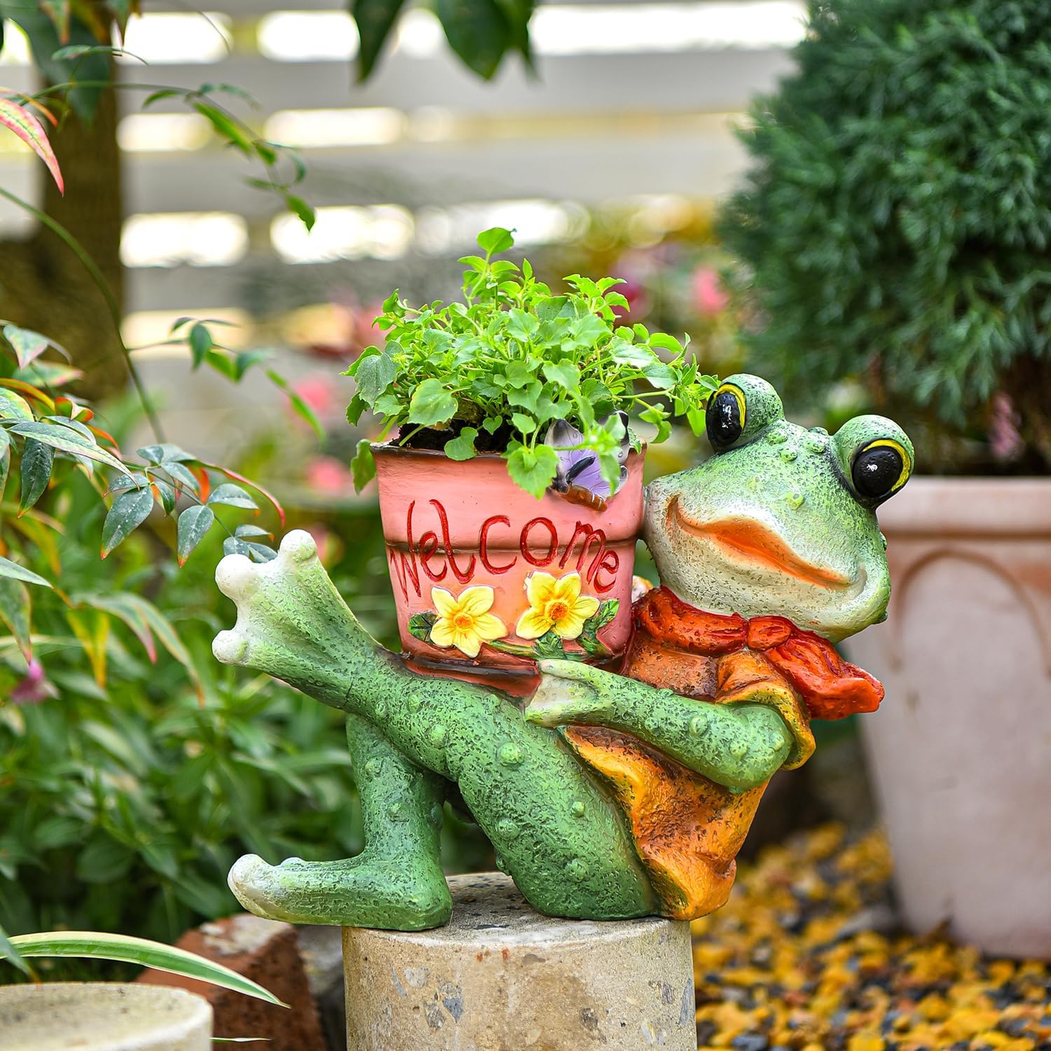 Sungmor Frog Garden Statue, Succulent Pot - Funny Frog Holding Bucket Figurine, Resin Decorative Planter for Indoor Outdoor, Home Lawn Office Yard Decor