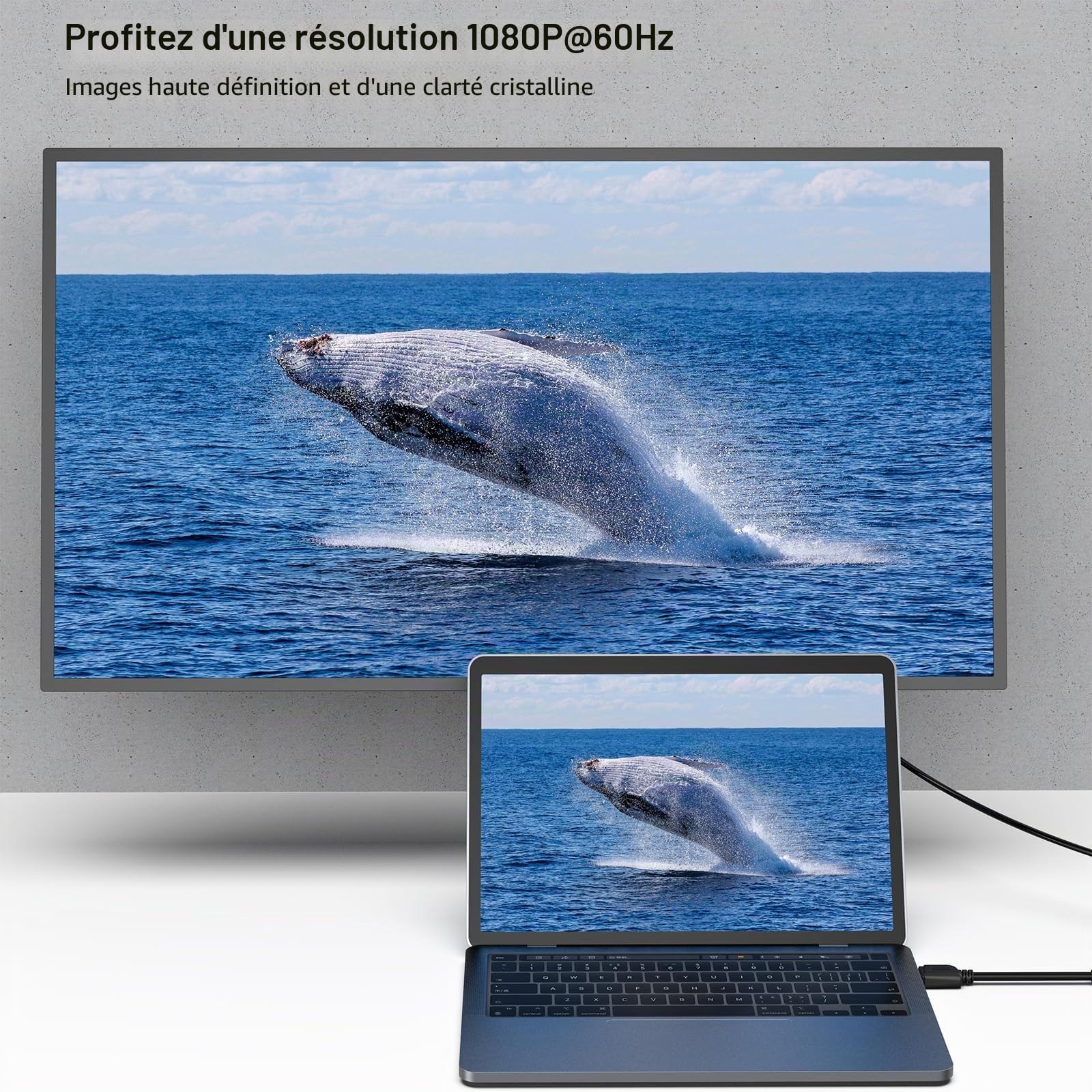 BENFEI Câble HDMI vers DVI 1,8 m bidirectionnel DVI-D 24+1 mâle vers HDMI mâle Adaptateur Haute Vitesse 1080P Full HD