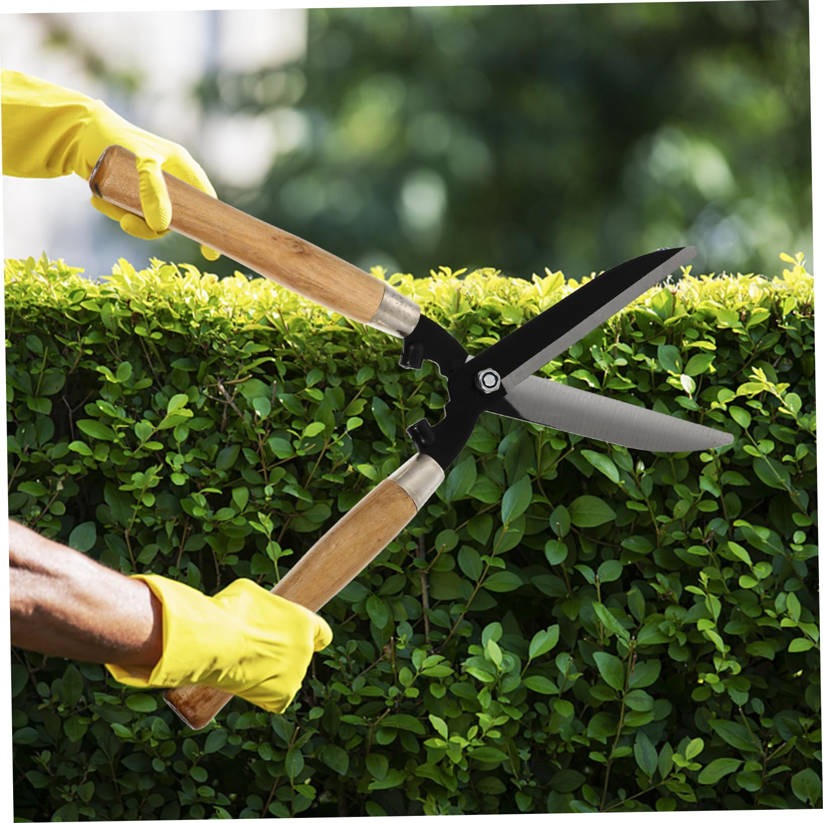 TOYANDONA 1pezzi Forbici Da Giardino Per Alberi Utensili Per Innesto Cesoie Per Prato Cesoie Da Potatura Per Giardinaggio Design Ergonomico Impugnatura in Legno Acciaio Temprato Lama Affilat