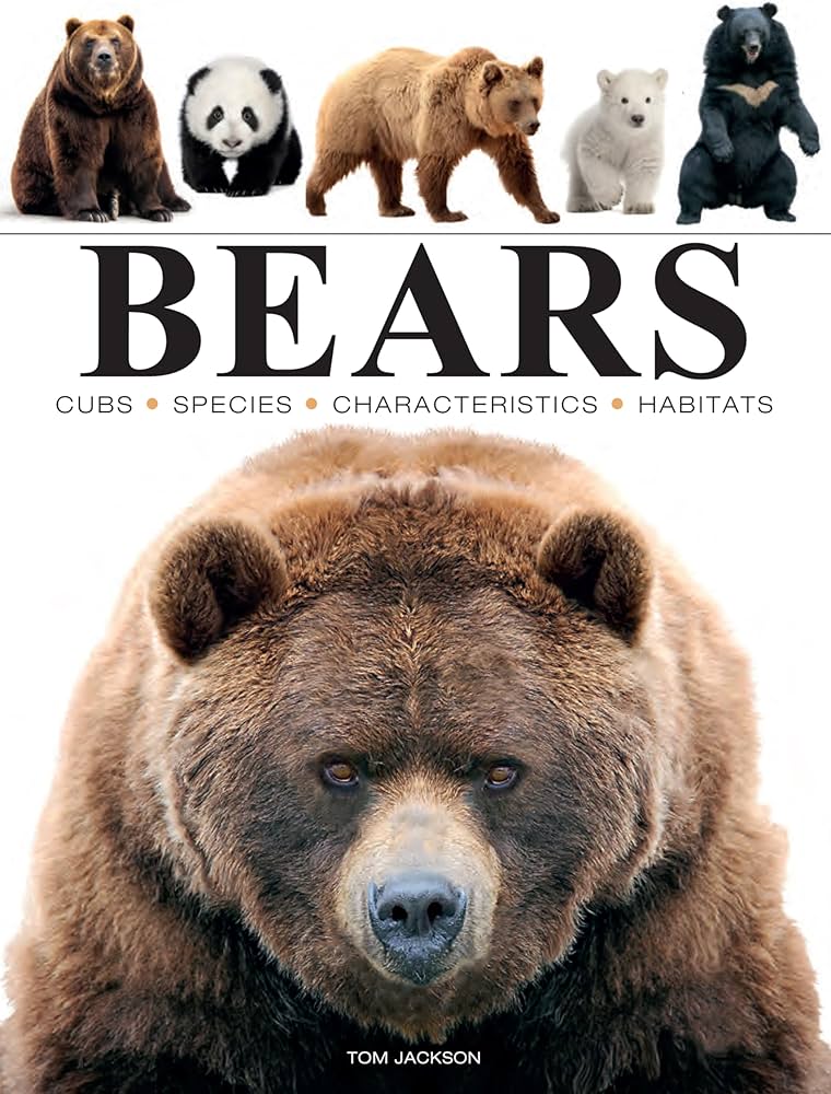 Bears (Mini Encyclopedia): Jackson, Tom: 9781838863586: Amazon.com
