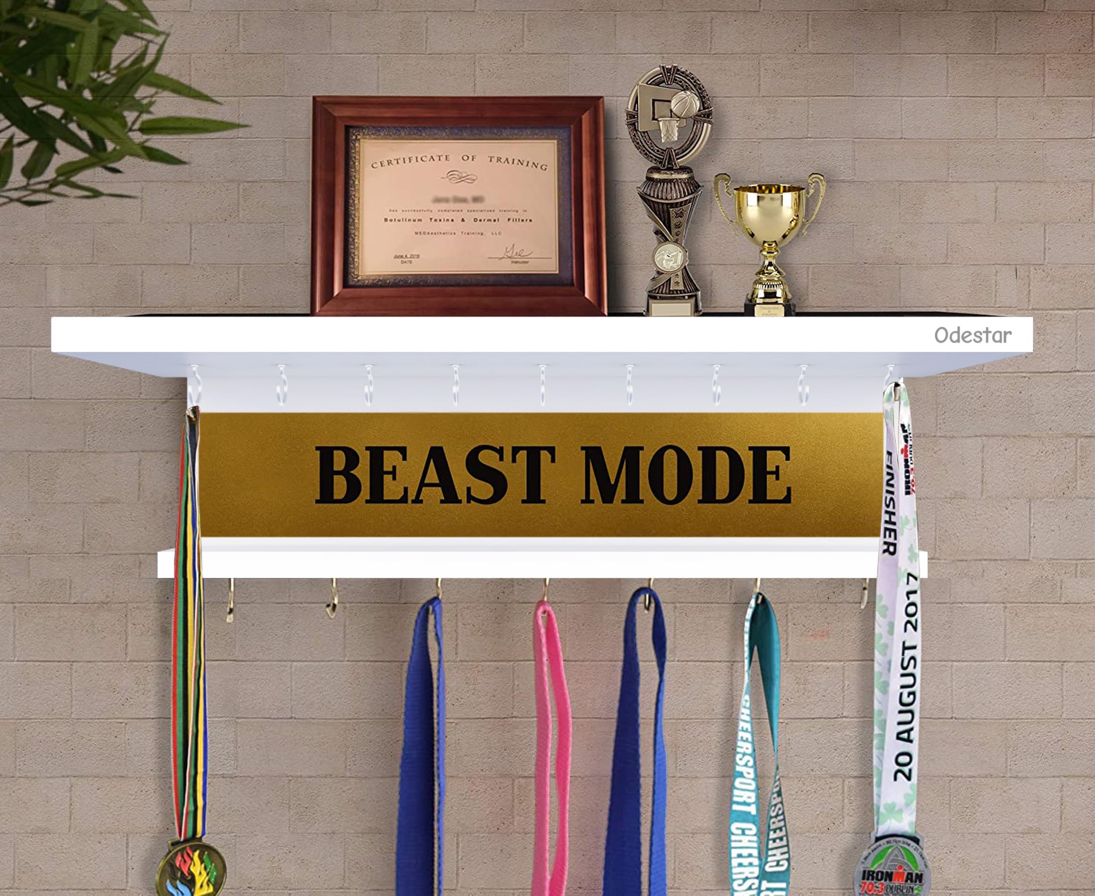 Odestar Large Medal Holder-Beast Mode (Size 48 x 15 x 15 Centimeters) White (B0CR6M4WJG) Amazon Price History, Amazon Price Tracker