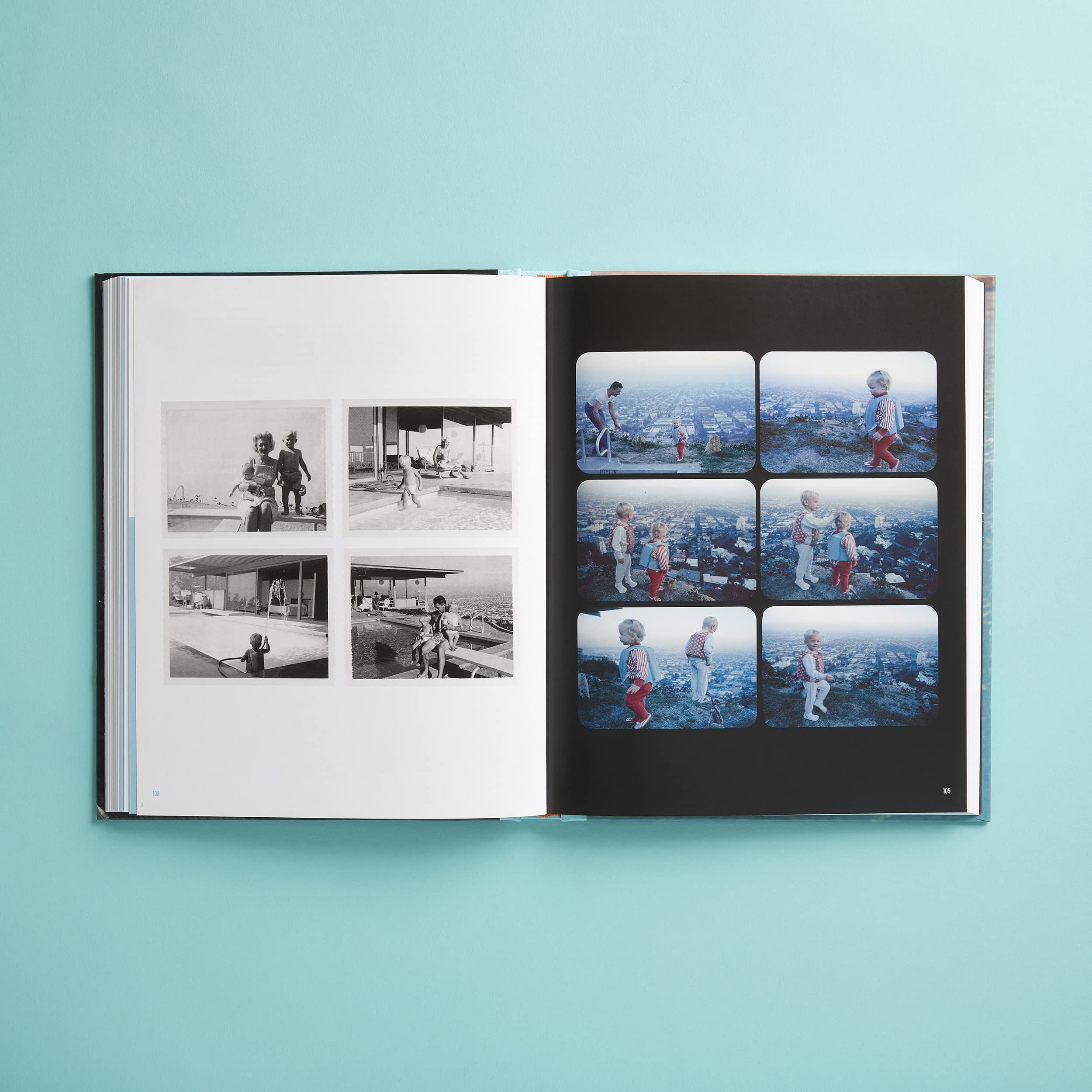 The Stahl House: Case Study House ú22: The Making of a Modernist Icon