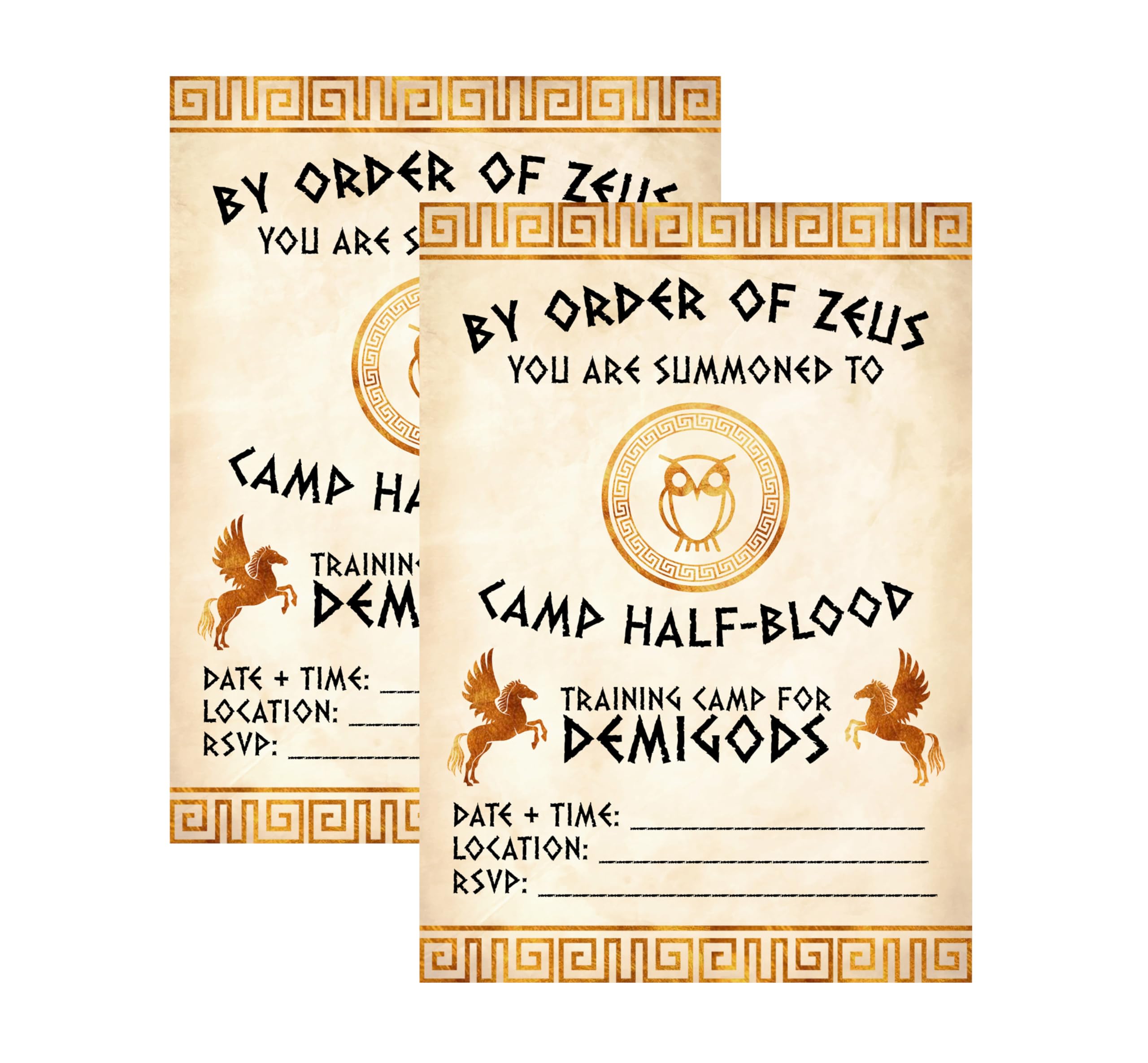 Silly Goose Gifts By Order of Zeus You Are Summoned - Greek Mythology Book Invitation Themed Kids Party Supply - Training Camp for Demigods Invites