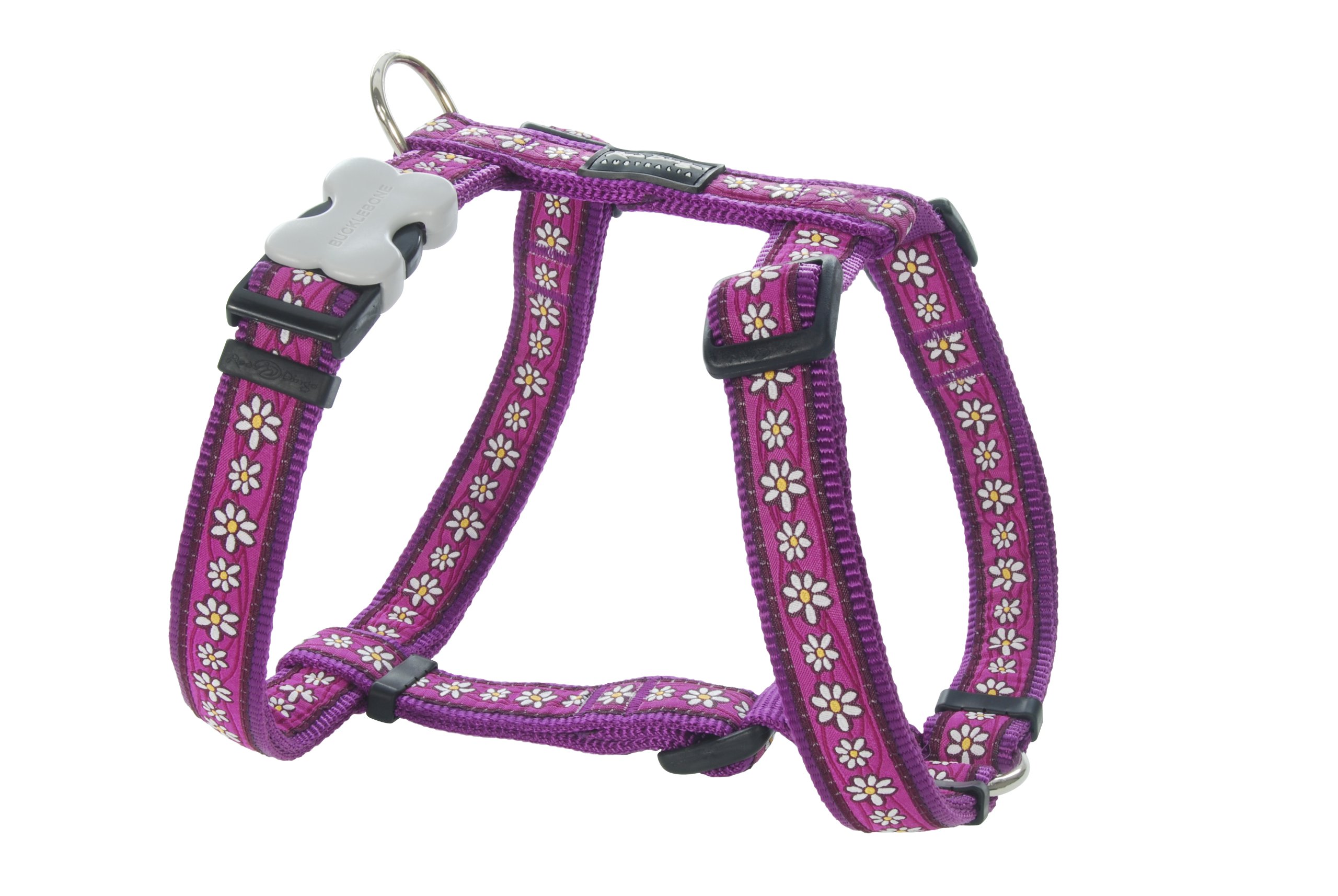 Harnais pour chien Red Dingo XL violet pour de belles balades au parc