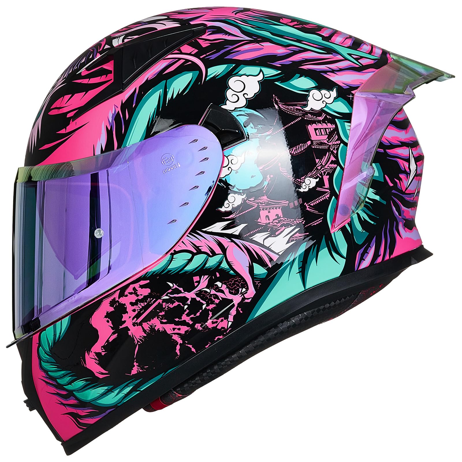 ILM Full Face Motorcycle Helmet Man Woman-Motorcycle Helmet with 2 Visors Pinlock-Compatible Clear and Tinted-Street Bike Motocross Casco ECE Model Z501
