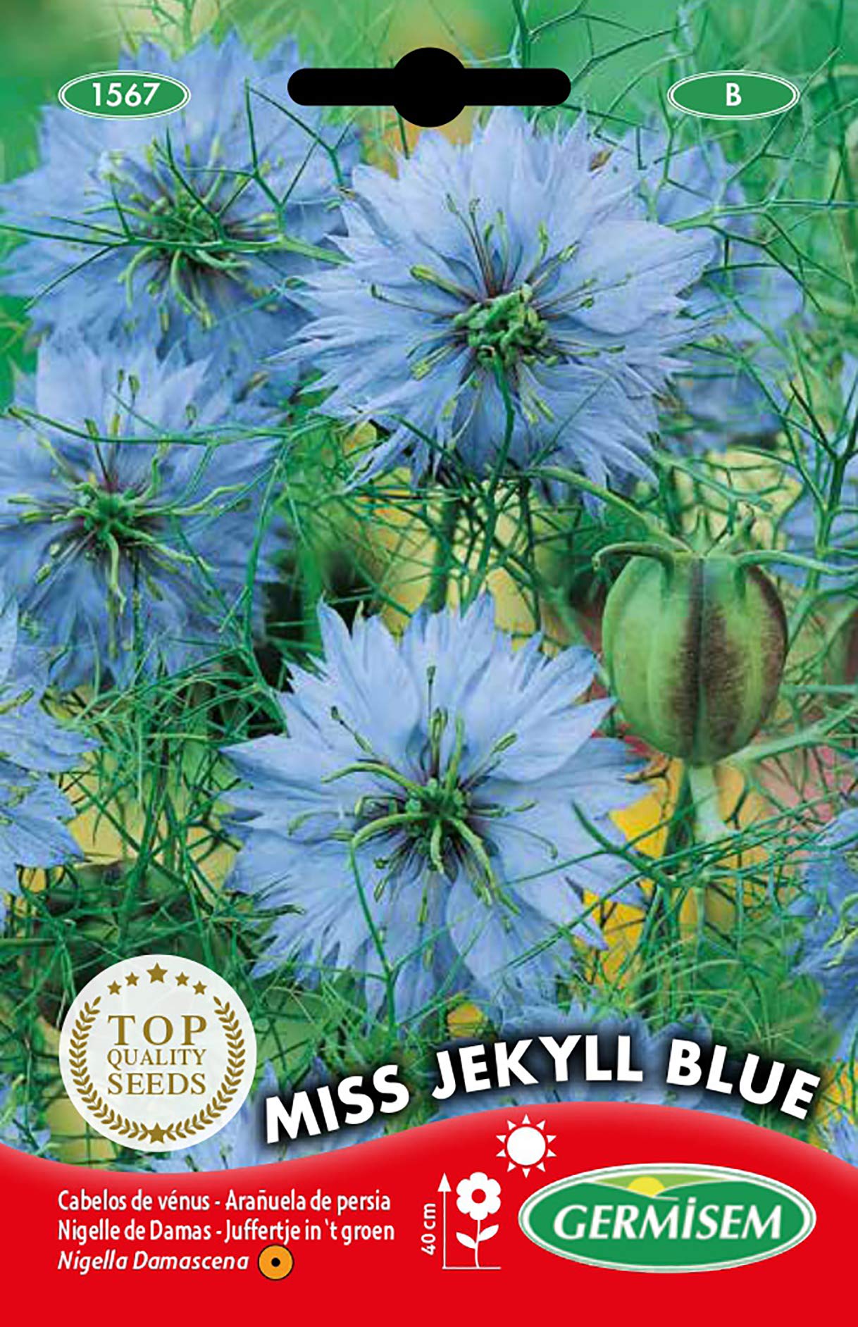 Semillas De Dondiego De Día (Ipomoea Tricolor) Heavenly Blue - Paquete De 4g, Trepadora De Flores Azules, Rápido Crecimiento