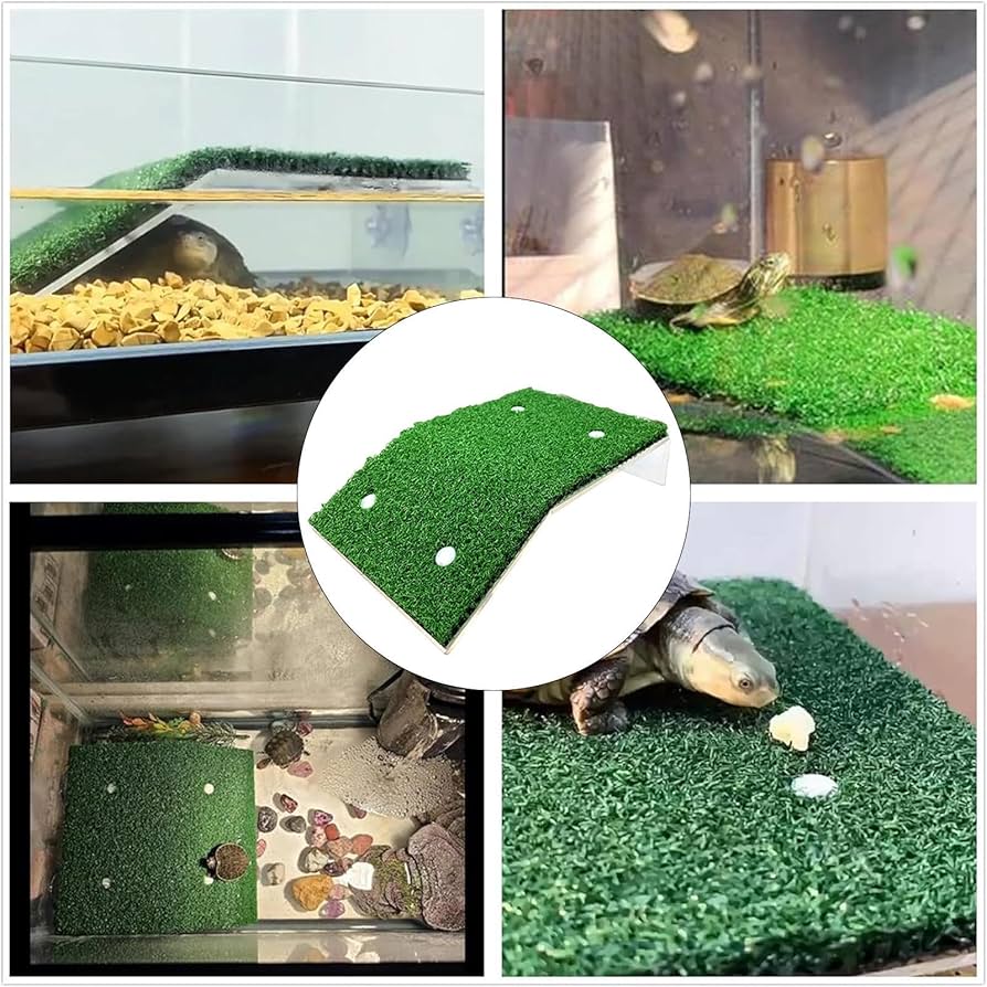 爬虫類　バスキングスロープ　16 爬虫類 バスキングスロープ 16