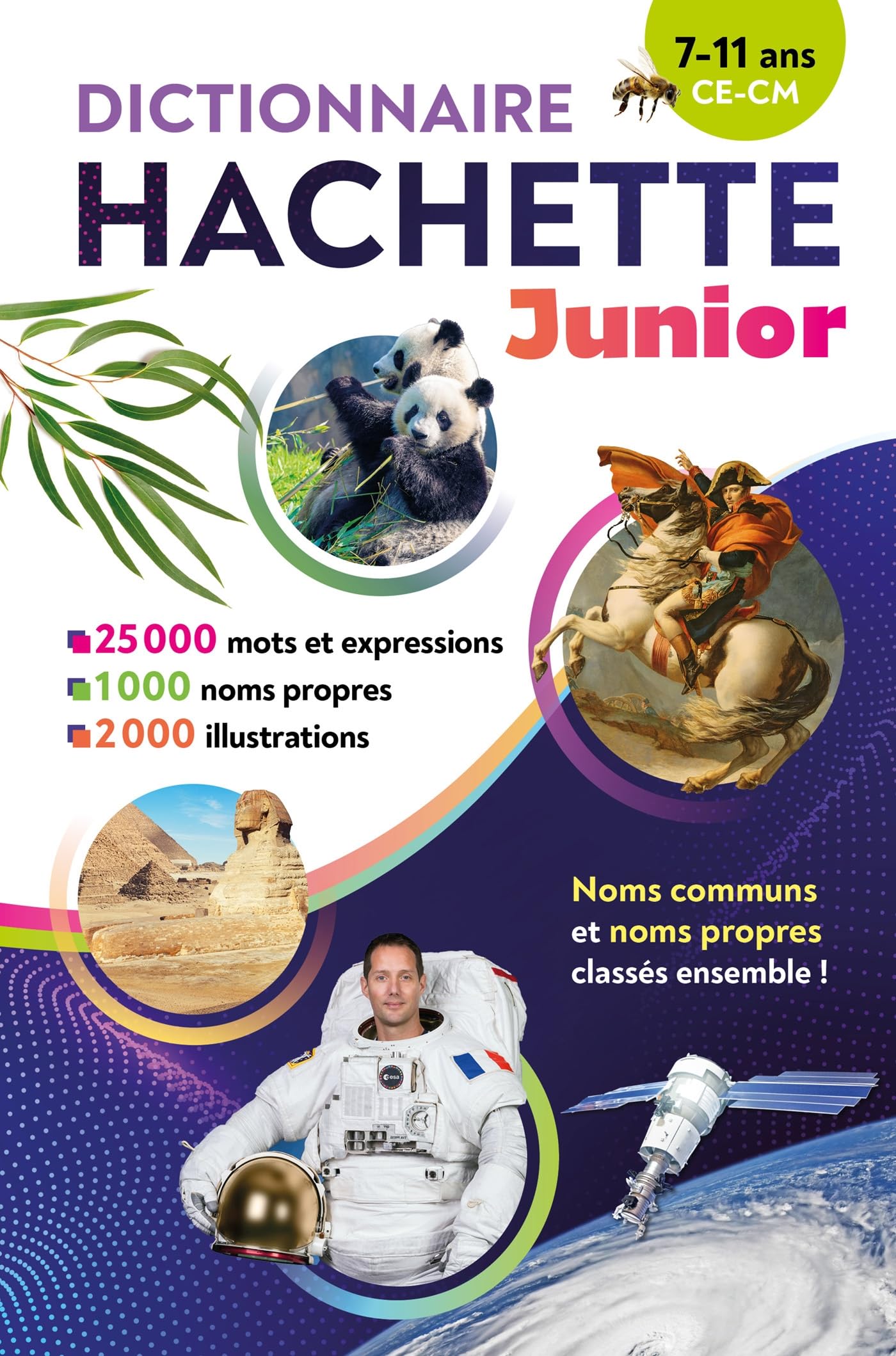 Hachette Pratique Dictionnaire Dictionnaire Hachette Junior CE-CM