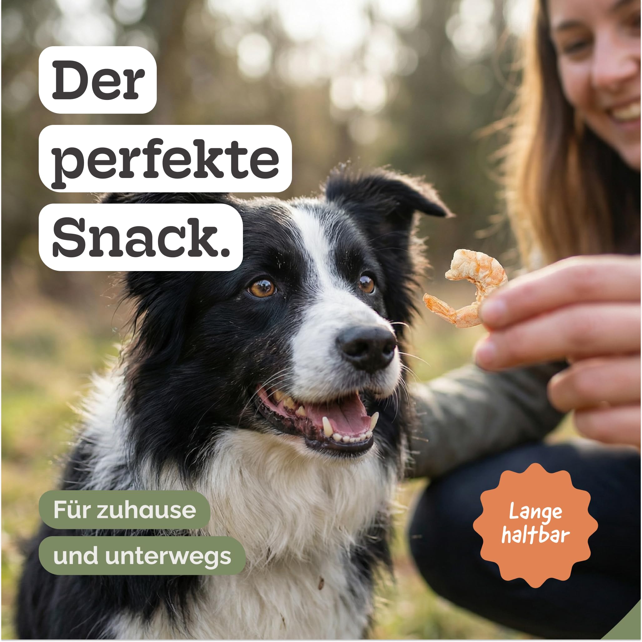 Gefriergetrocknete Riesengarnelen für Hunde & Katzen – 100% natürliche Single-Protein Snacks – ohne Zusätze – proteinreiches Barf-Topping & Belohnung – 25g