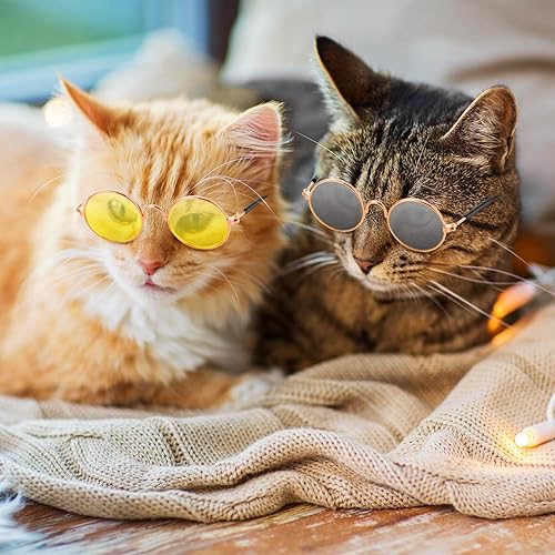 Miniatura 4 de 10 lentes de sol para gatos y perros, divertidos anteojos redondos de metal para gatos, clásicos, retro, para mascotas, hippie, lindo, perro, gato,