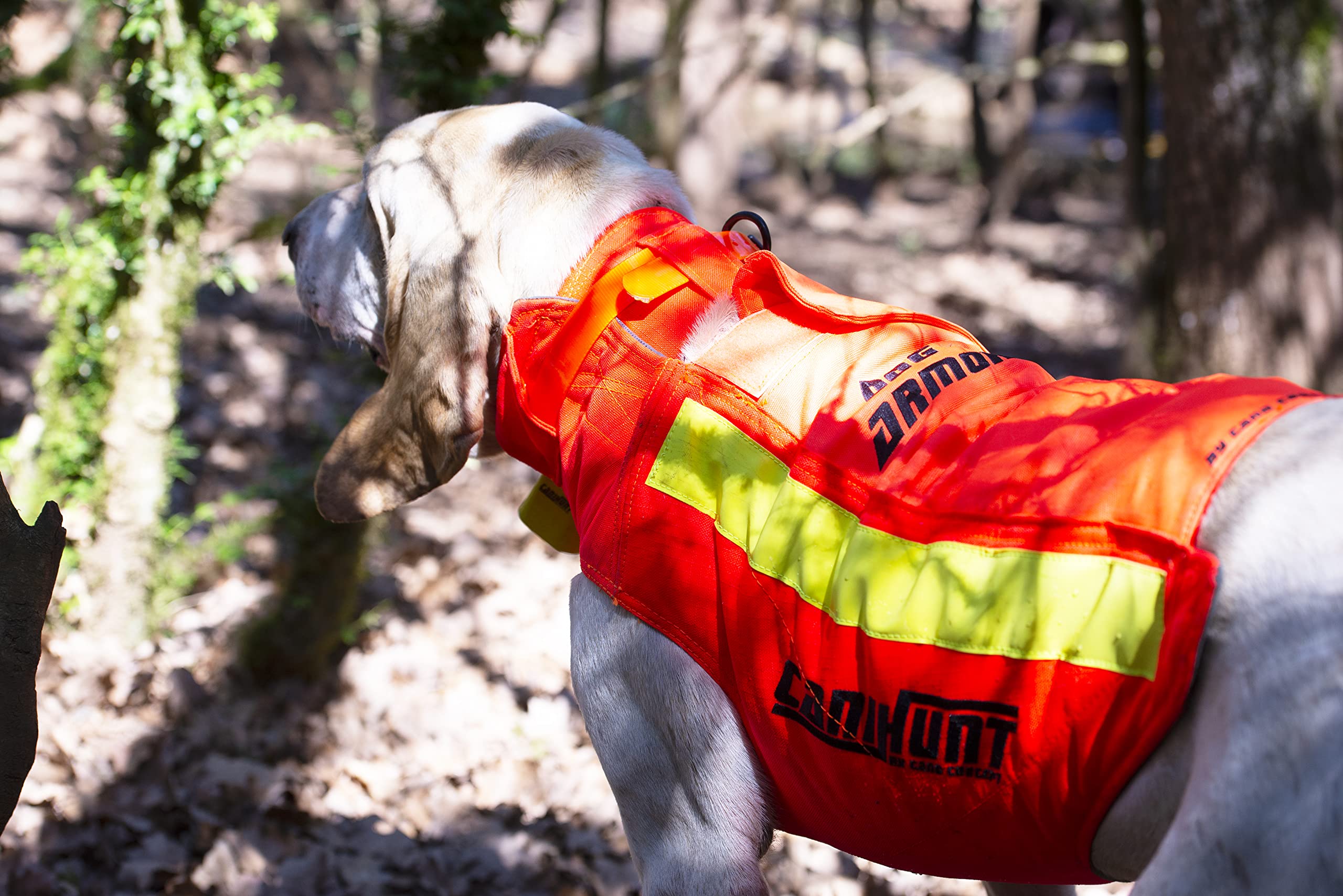 Gilet CANIHUNT Protection Dog Armor Orange V3 Gilet Anti Perforation des SANGLIERS pour PROTEGER Le Chien (Teckel)