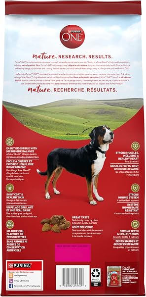 Purina ONE Dry Dog Food, Microbiome Balance Lamb & Rice - 1.81 kg Bag (1 Pack) 1.81 kg (Pack of 1) Dry Dog Food - 2
