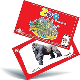 edutec Kid's Zoo Cards
