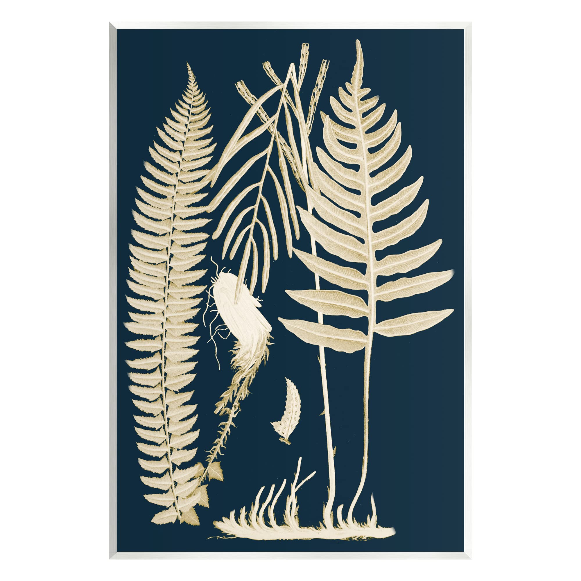 Stupell Industries Layered Ferns Botanical Roots Contemporary Abstract Design Wood Wall Art, Design By Piddix
