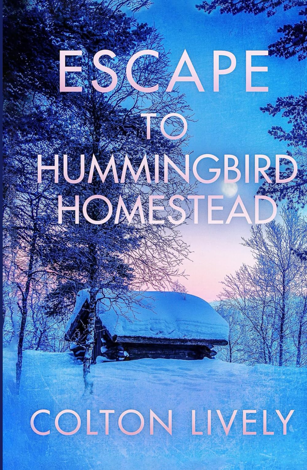 Escape to Hummingbird Homestead (EMP Survival in a Powerless World)