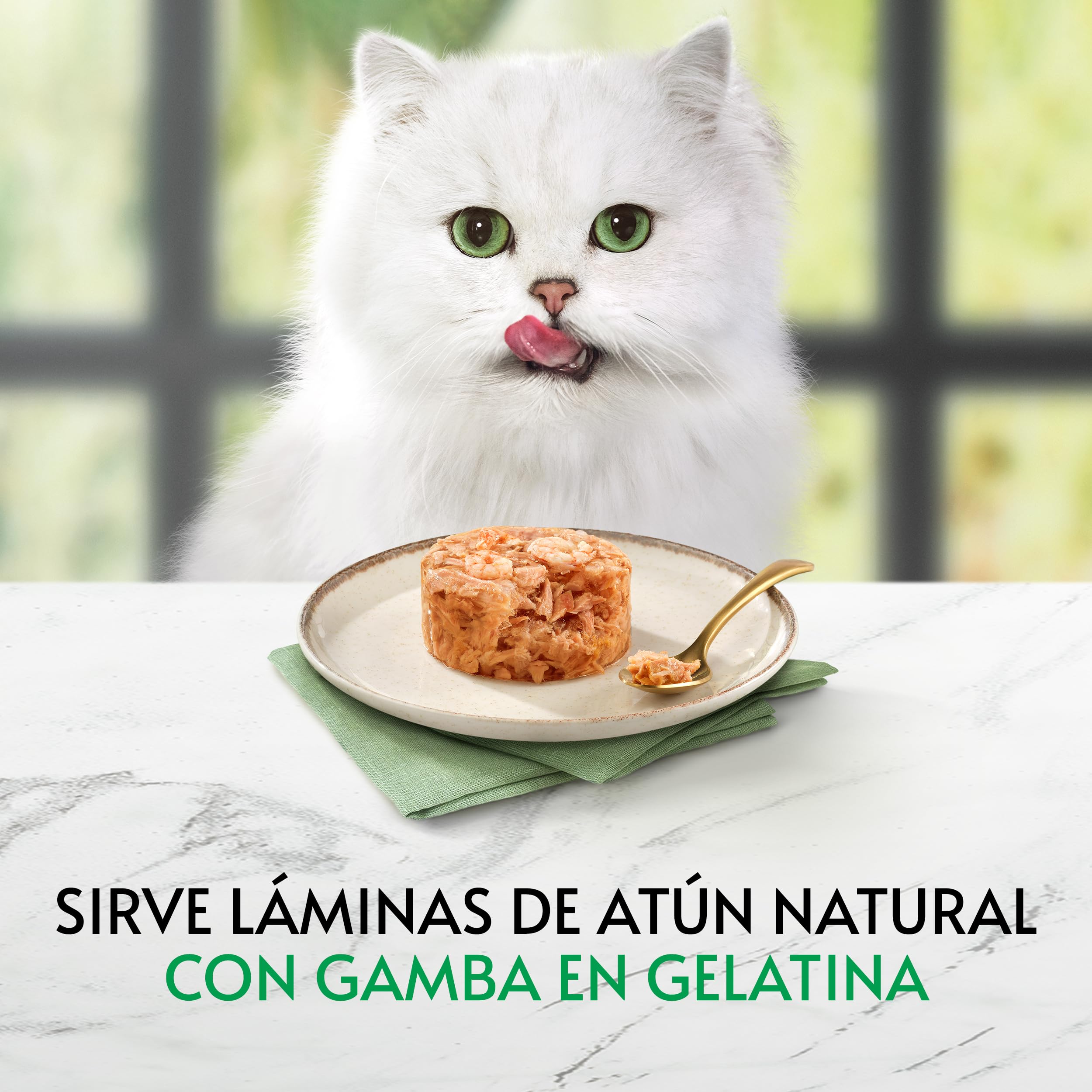 Purina Gourmet Nature's Creations Comida Húmeda para Gato con Atún y Gambas, 24 latas de 70g
