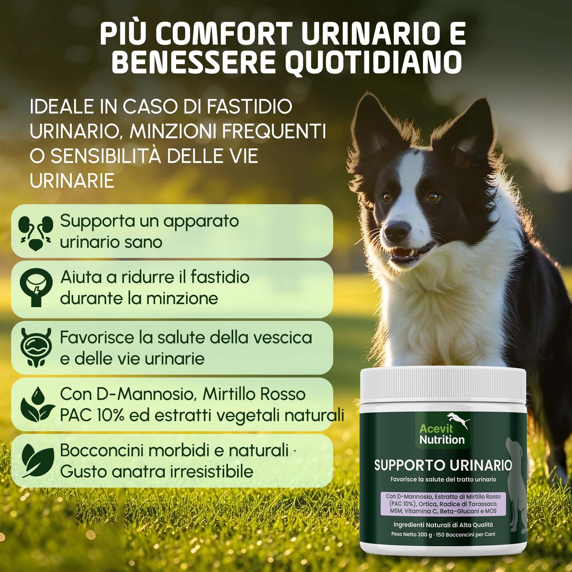 Conforto Urinario Cani, 150 Bocconcini 100% Naturali – Supporto delle Vie Urinarie e della Vescica – con D-Mannosio, Mirtillo Rosso, Ortica e MSM – Integratore Urinario Cani con Sensibilità Urinaria